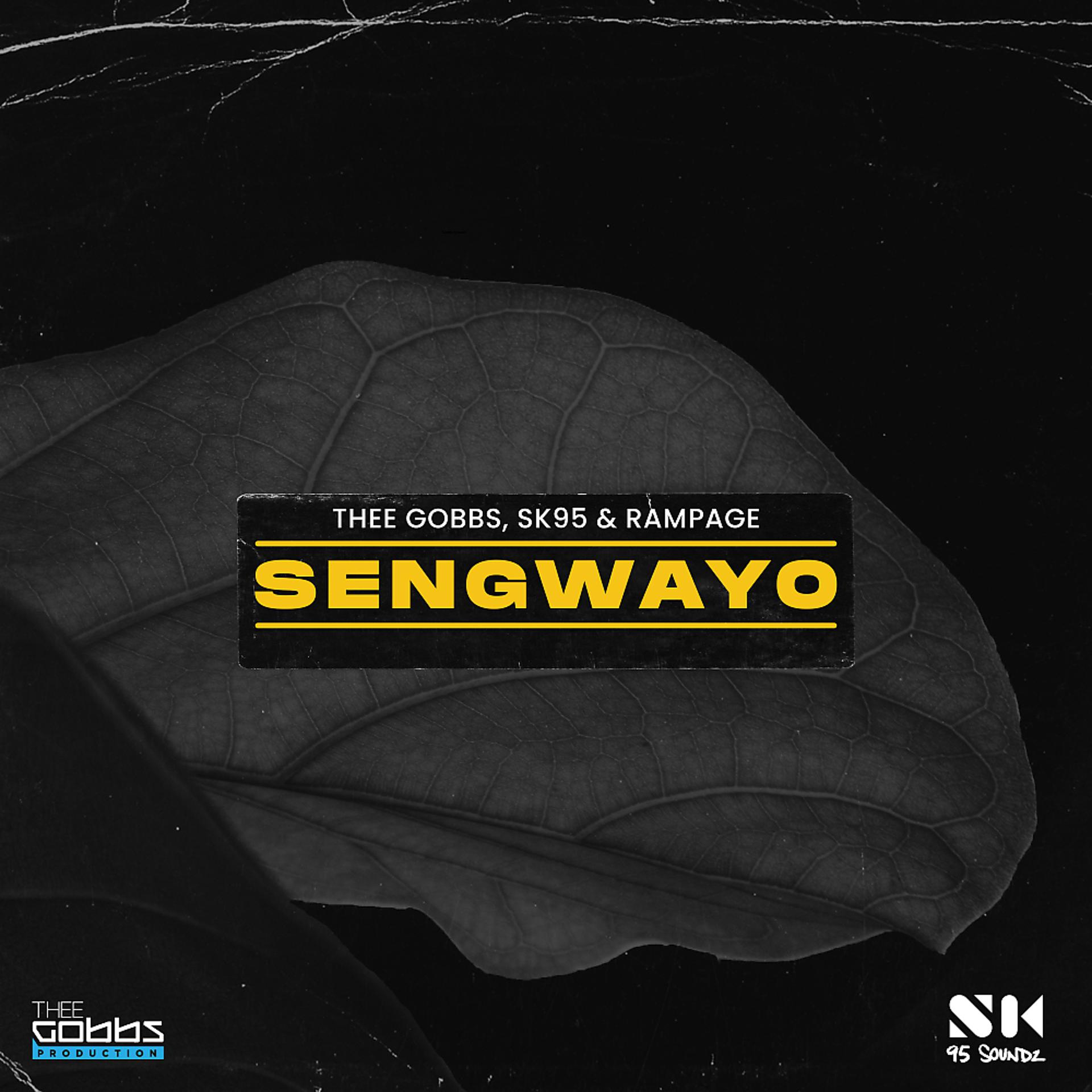 Постер альбома Sengwayo