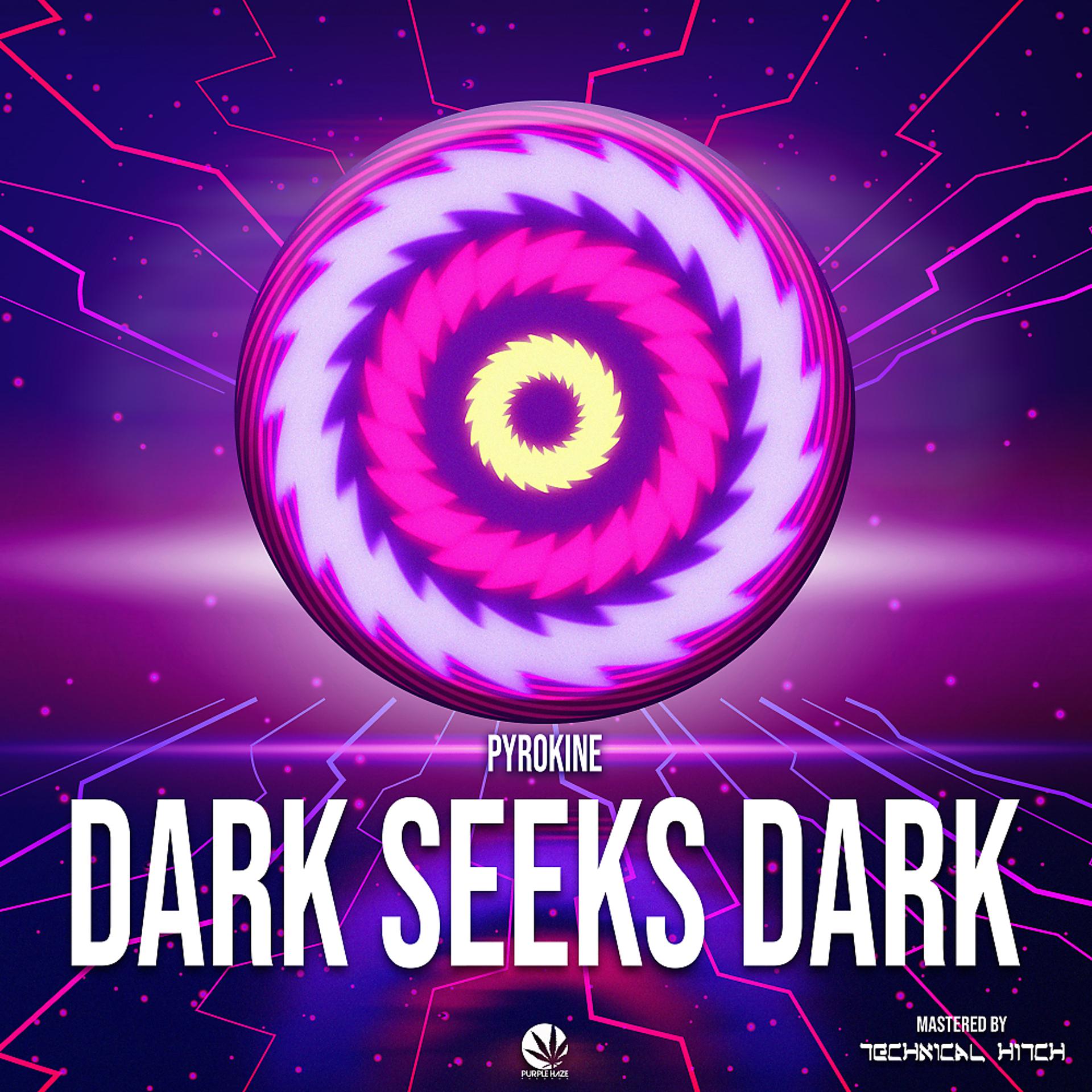 Постер альбома Dark Seeks Dark