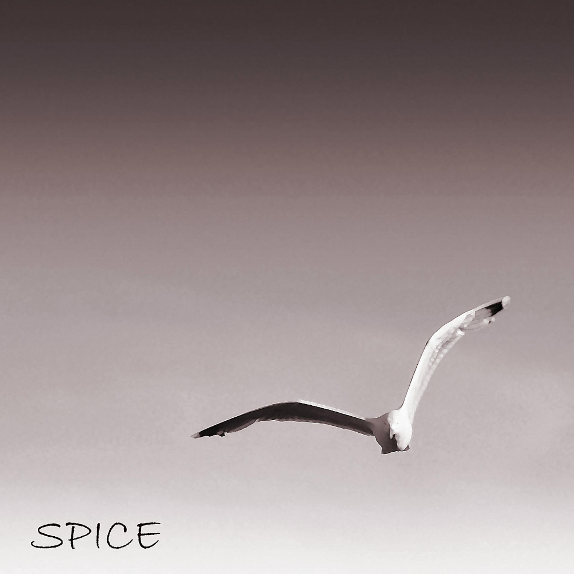 Постер альбома Spice