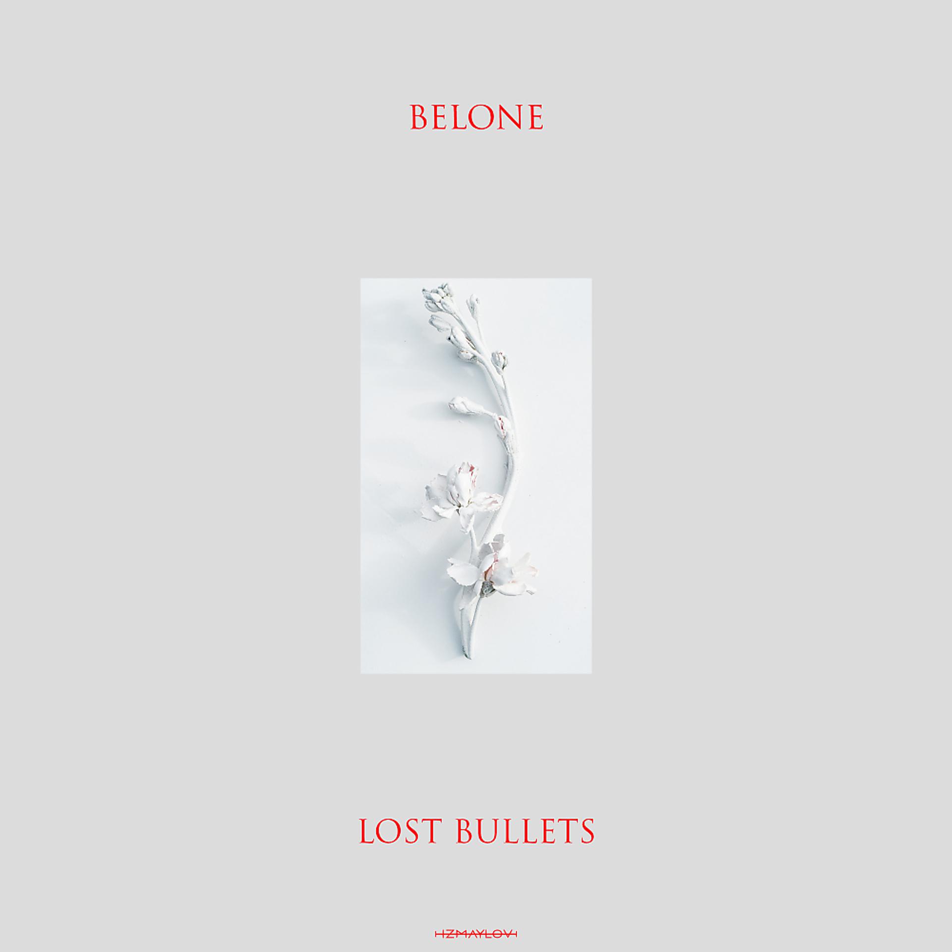 Постер альбома Lost Bullets