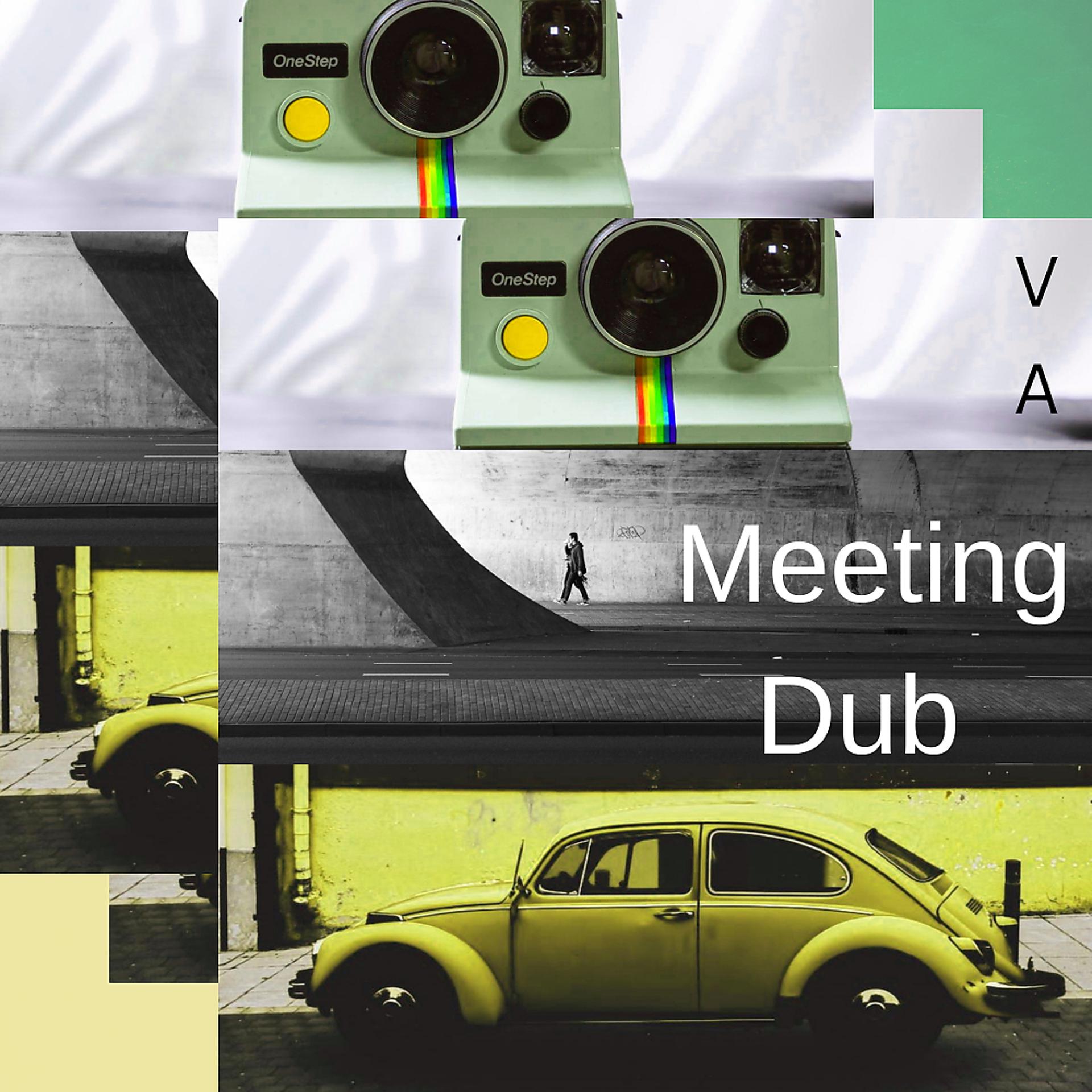 Постер альбома Meeting Dub