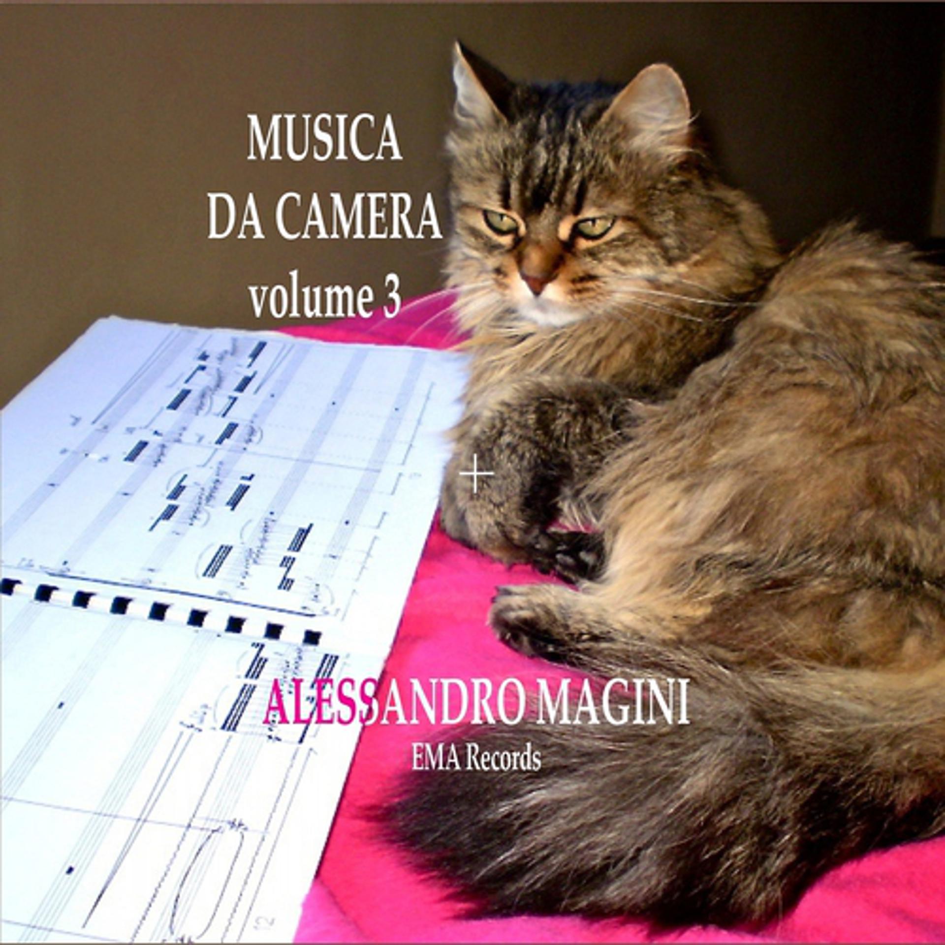 Постер альбома Alessandro magini: Musica da camera, vol. 3