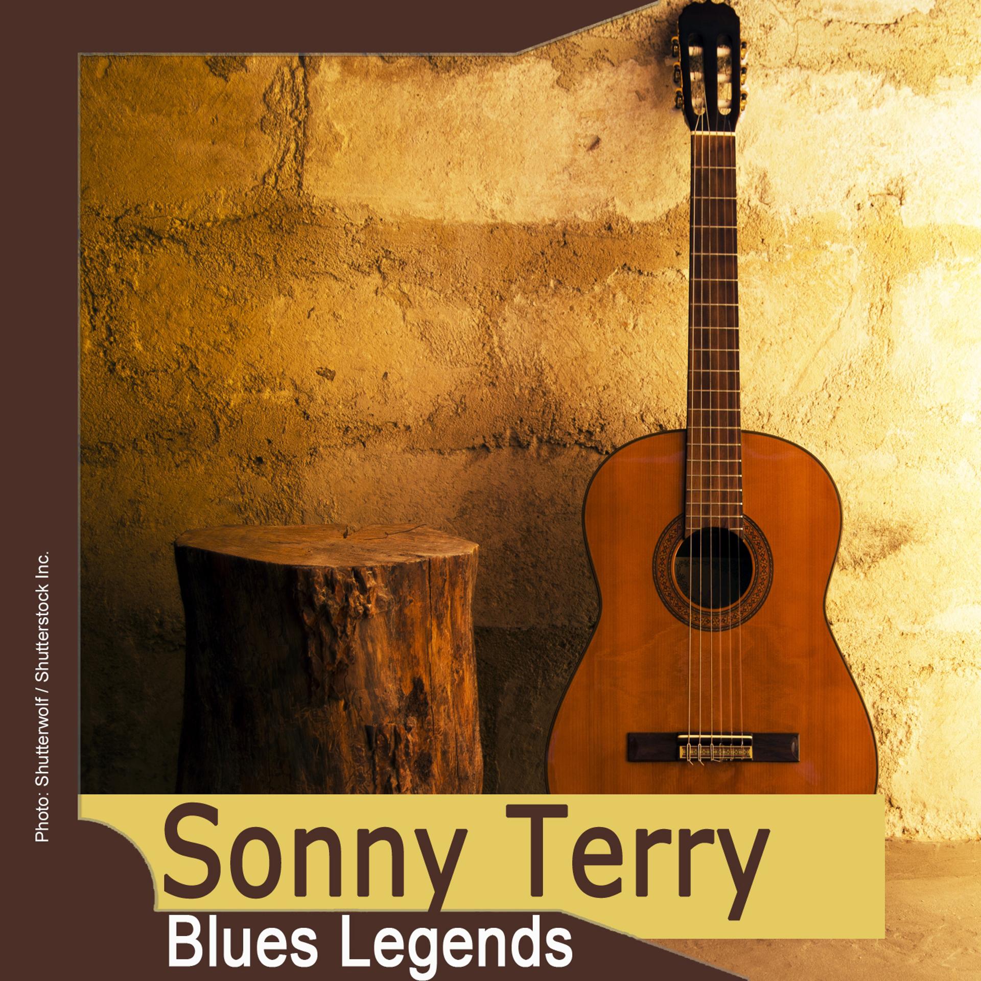 Постер альбома Blues Legends: Sonny Terry