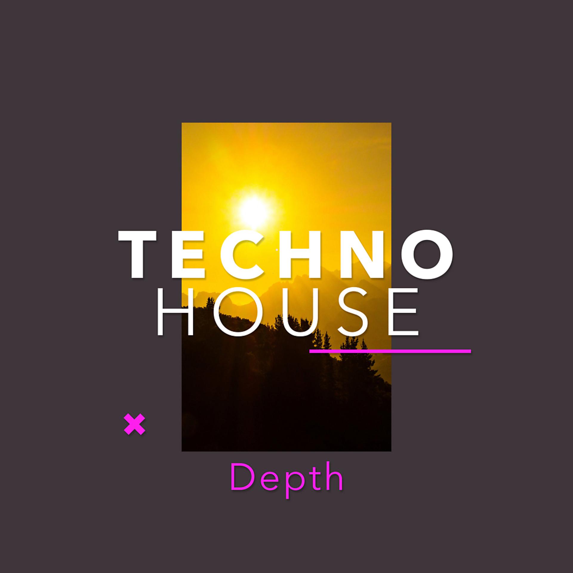 Постер альбома Techno House Depth