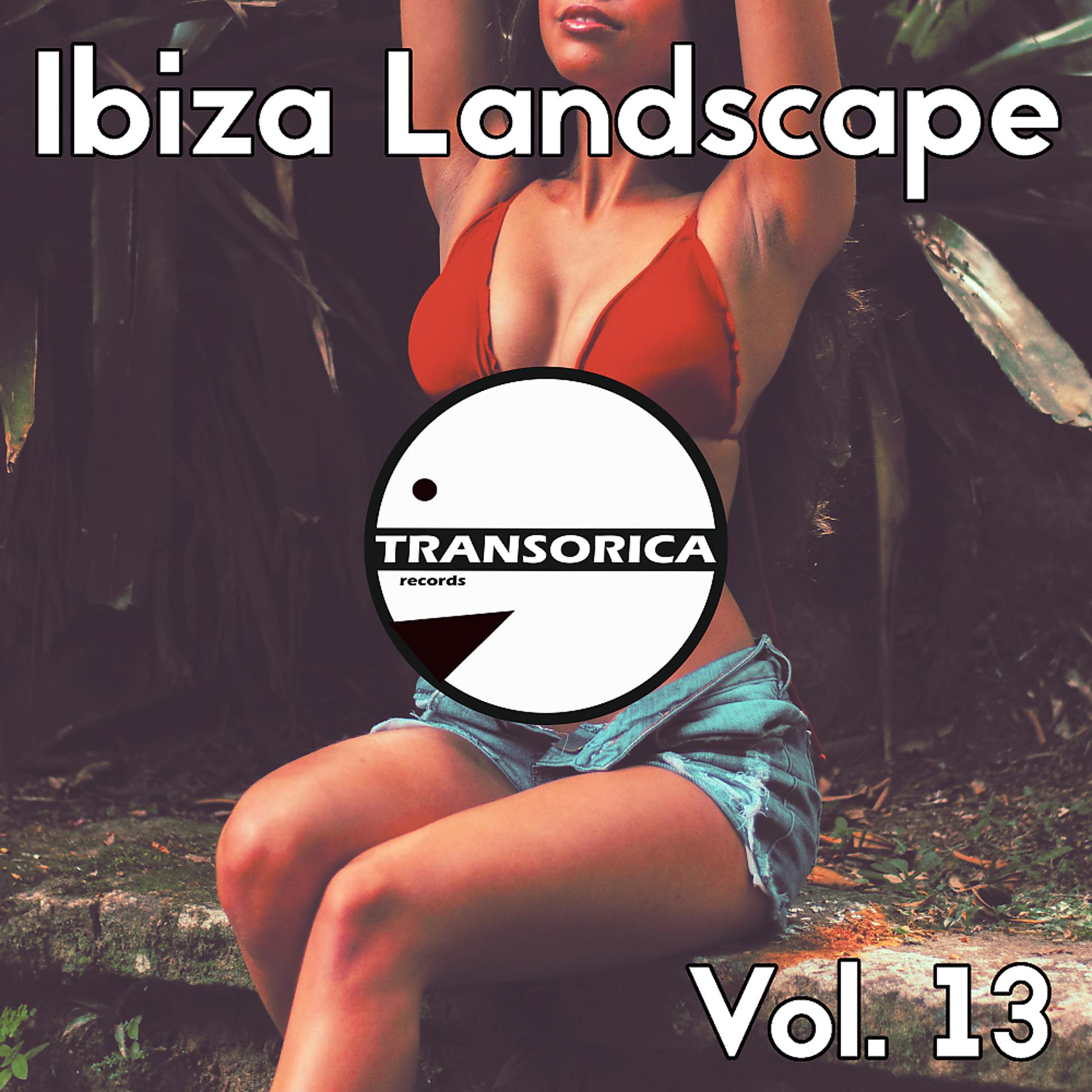 Постер альбома Ibiza Landscape, Vol. 13