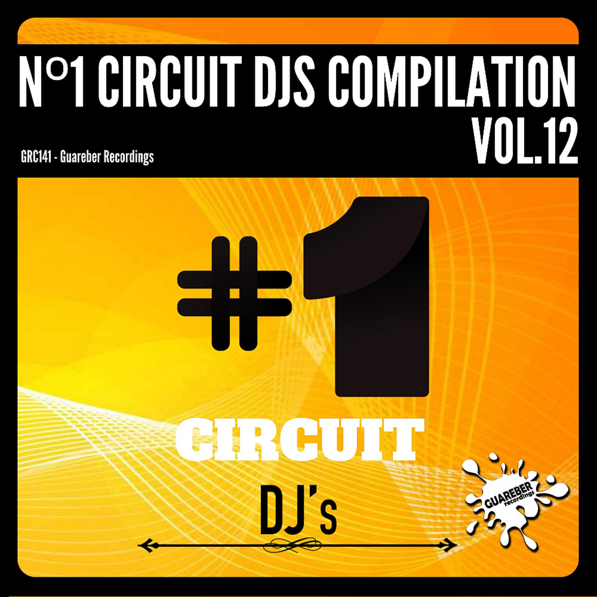 Постер альбома Nº1 Circuit Djs Compilation, Vol. 12