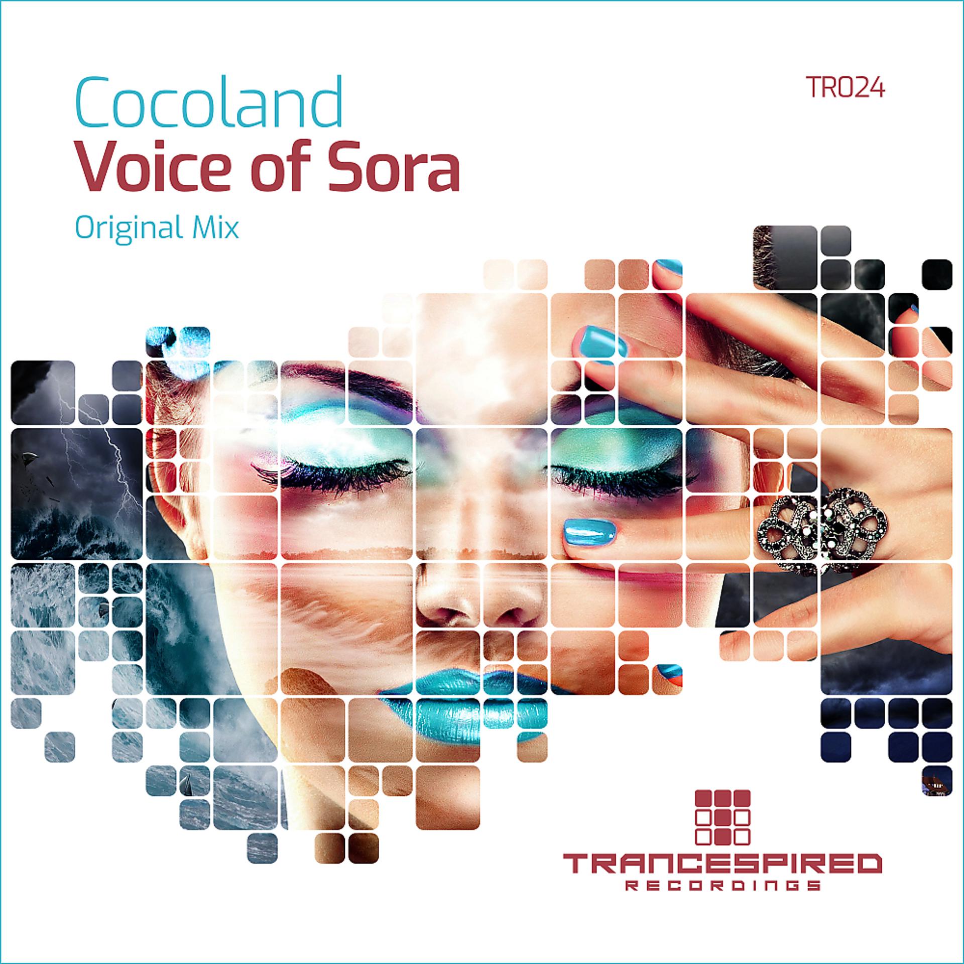Постер альбома Voice of Sora