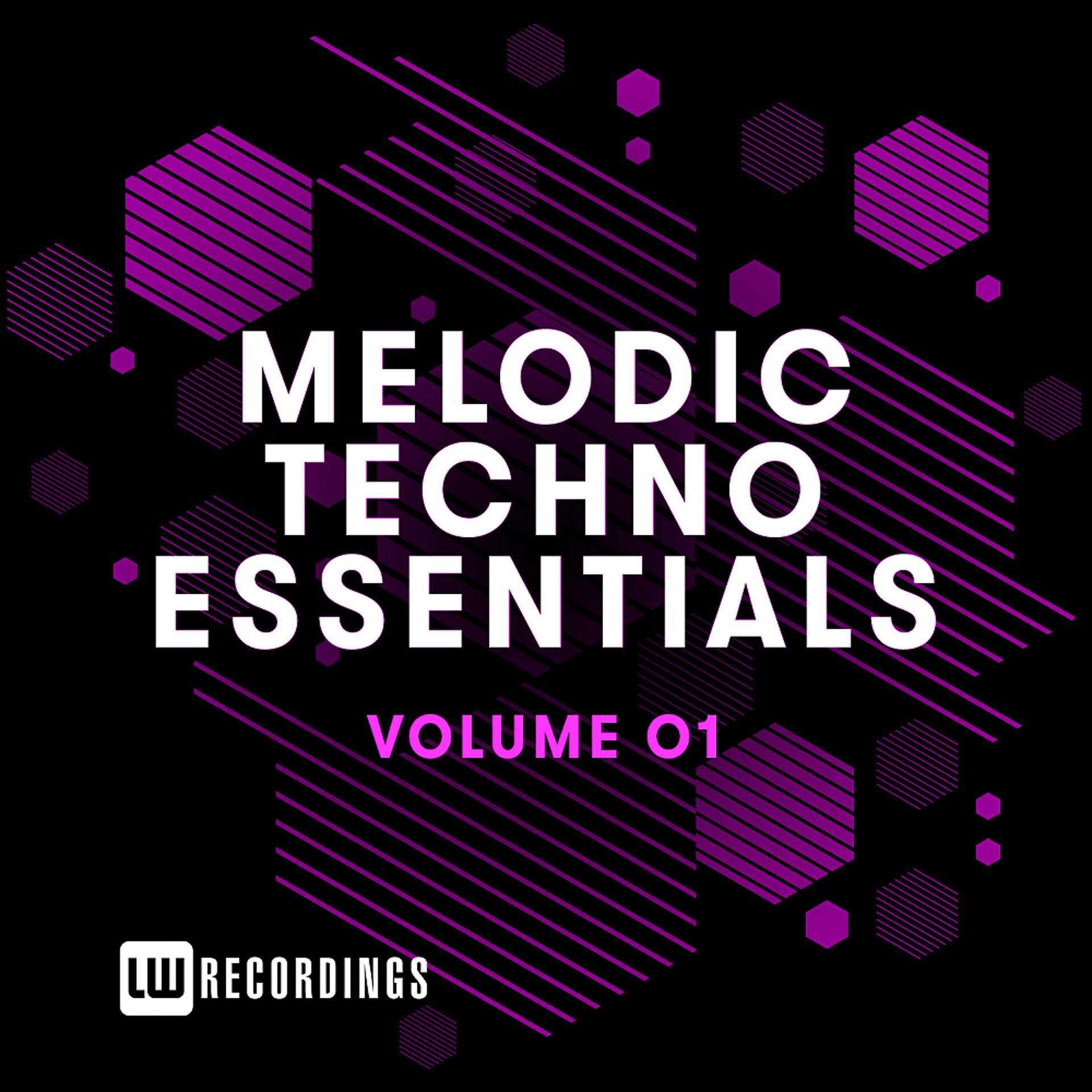 Постер альбома Melodic Techno Essentials, Vol. 01