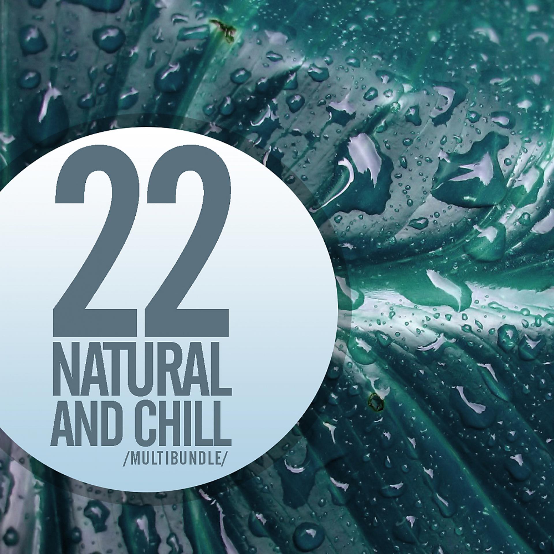 Постер альбома 22 Natural & Chill Multibundle