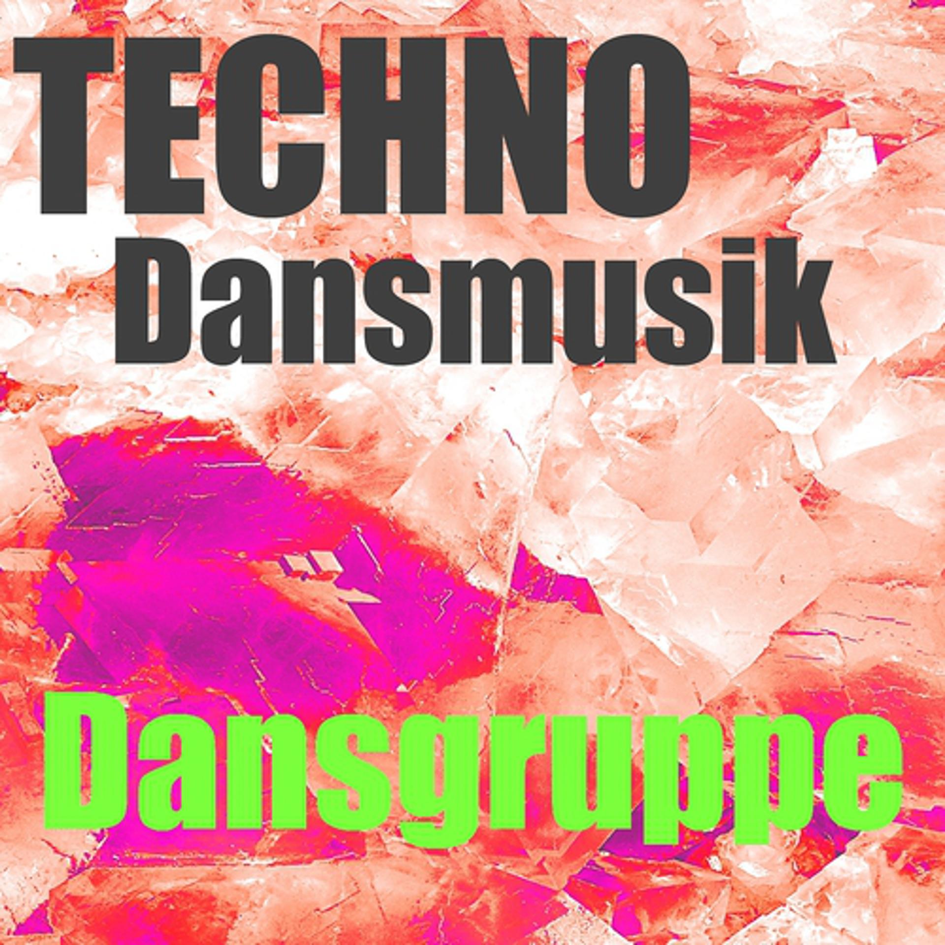Постер альбома Techno dansmusik