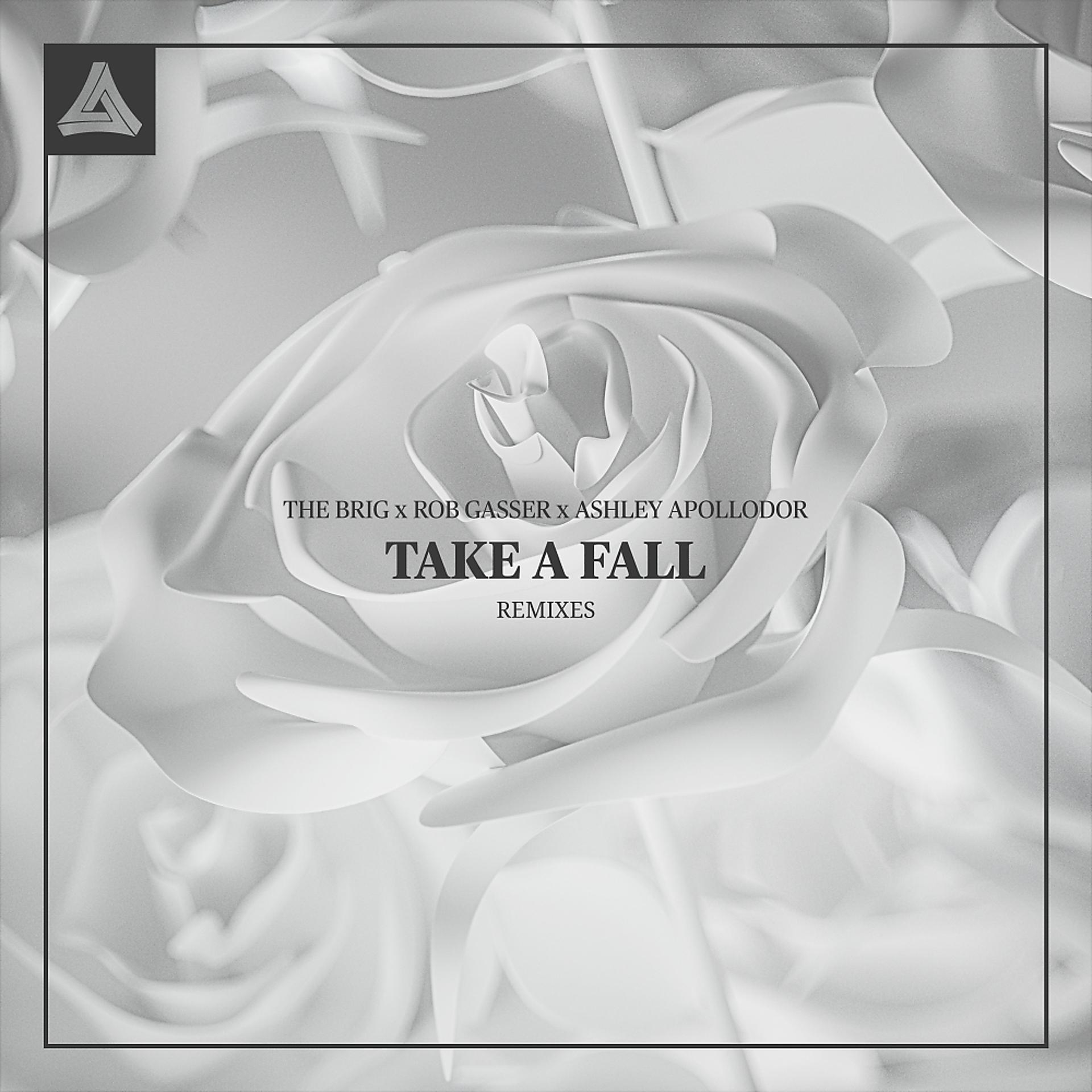 Постер альбома Take A Fall (Remixes)