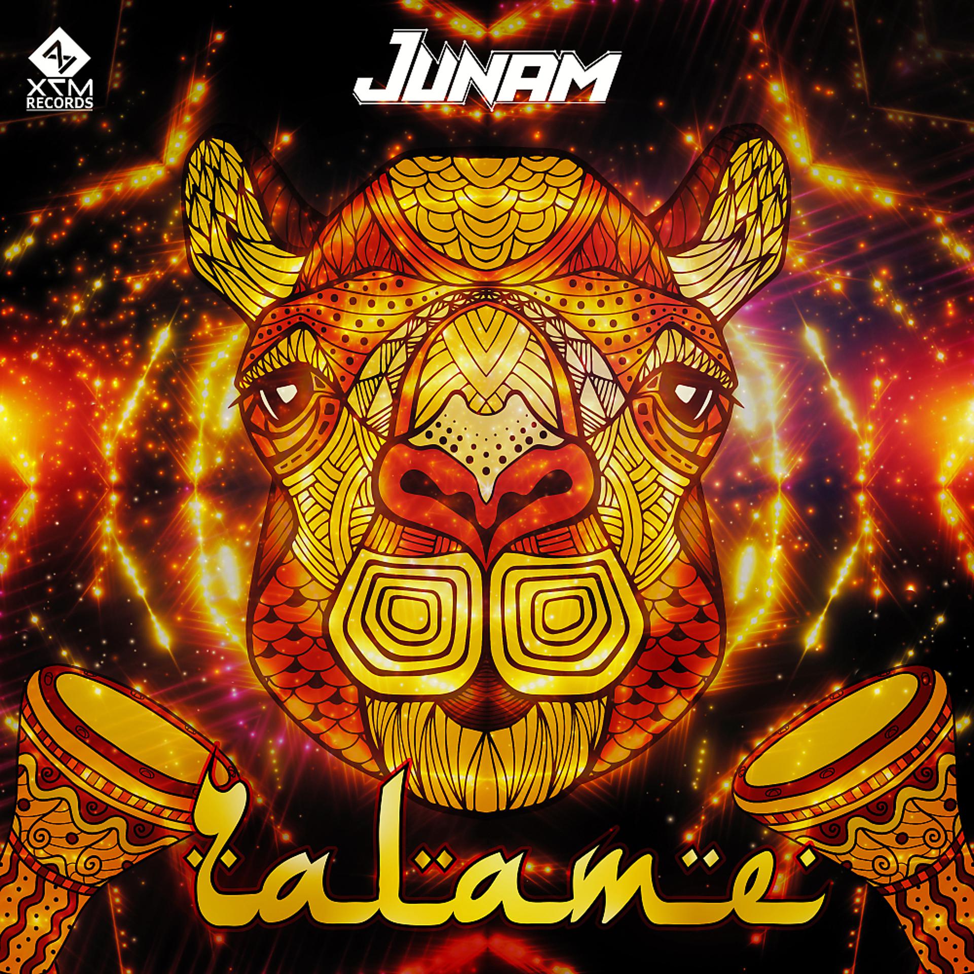 Постер альбома Zalame