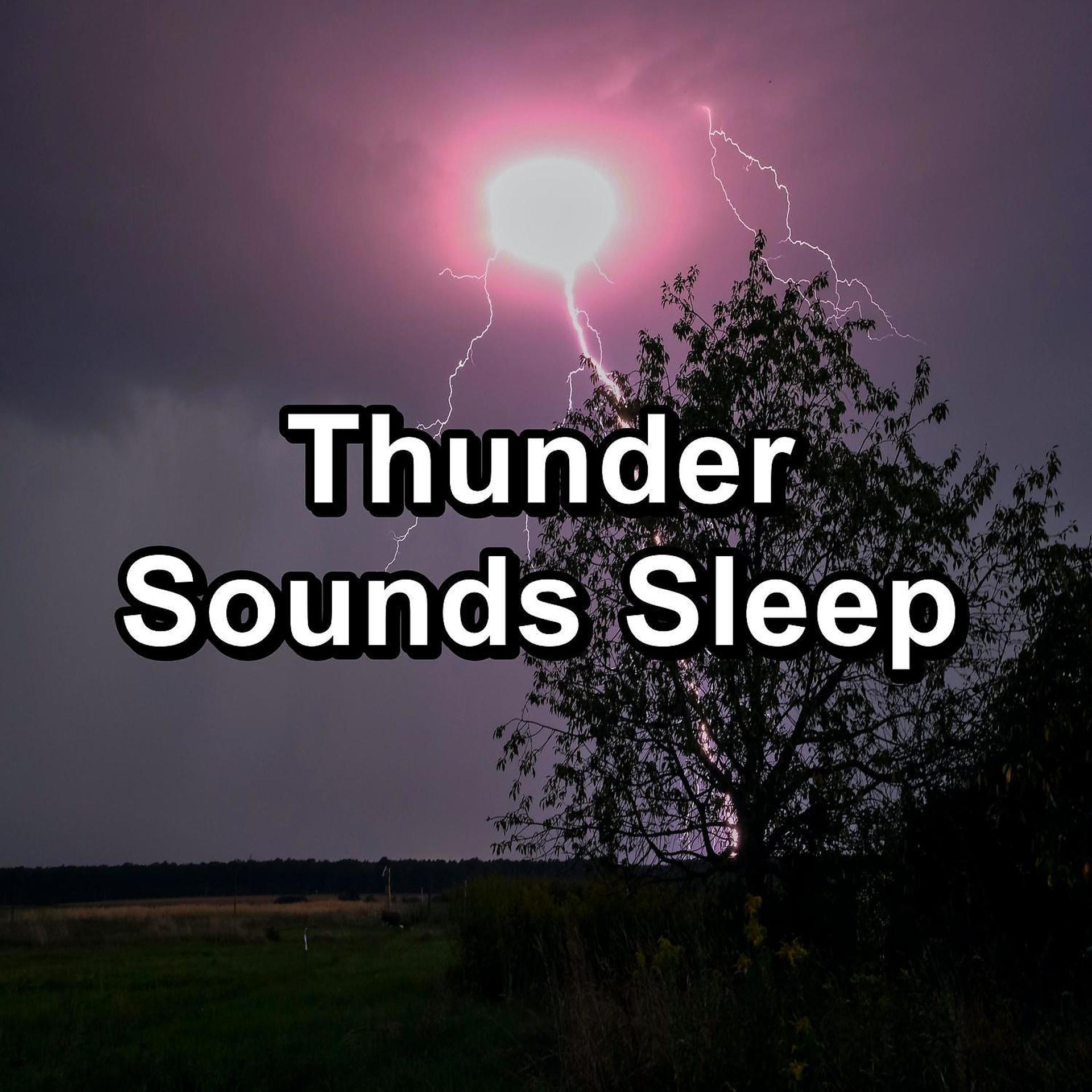 Постер альбома Thunder Sounds Sleep