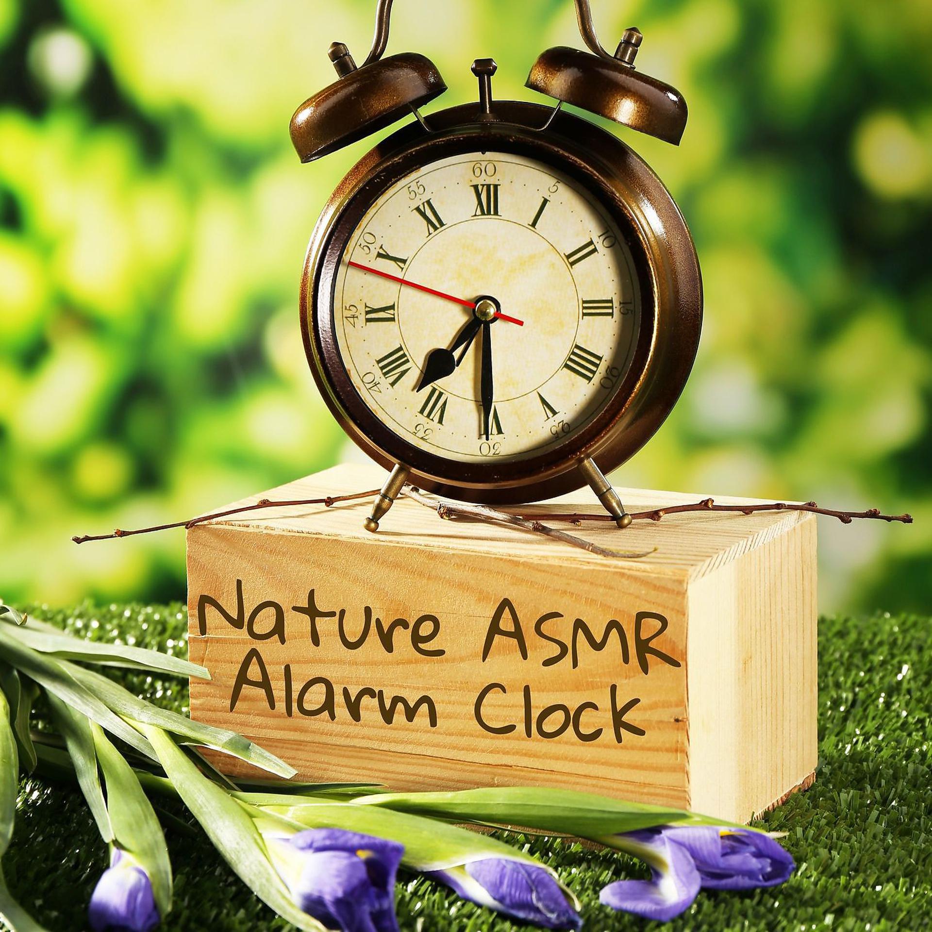 Постер альбома Nature ASMR Alarm Clock