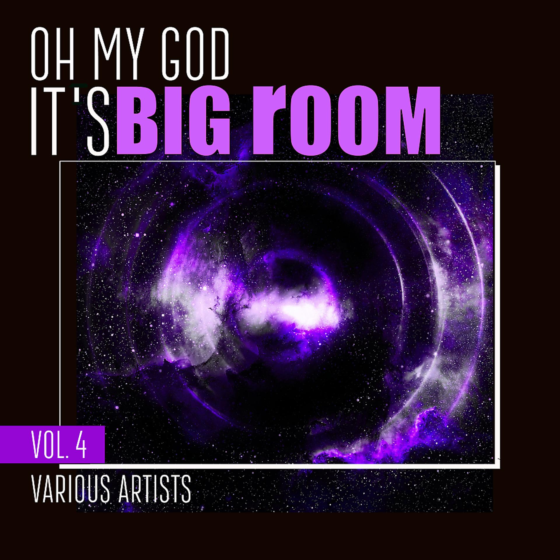 Постер альбома Oh My God It's Big Room, Vol. 4