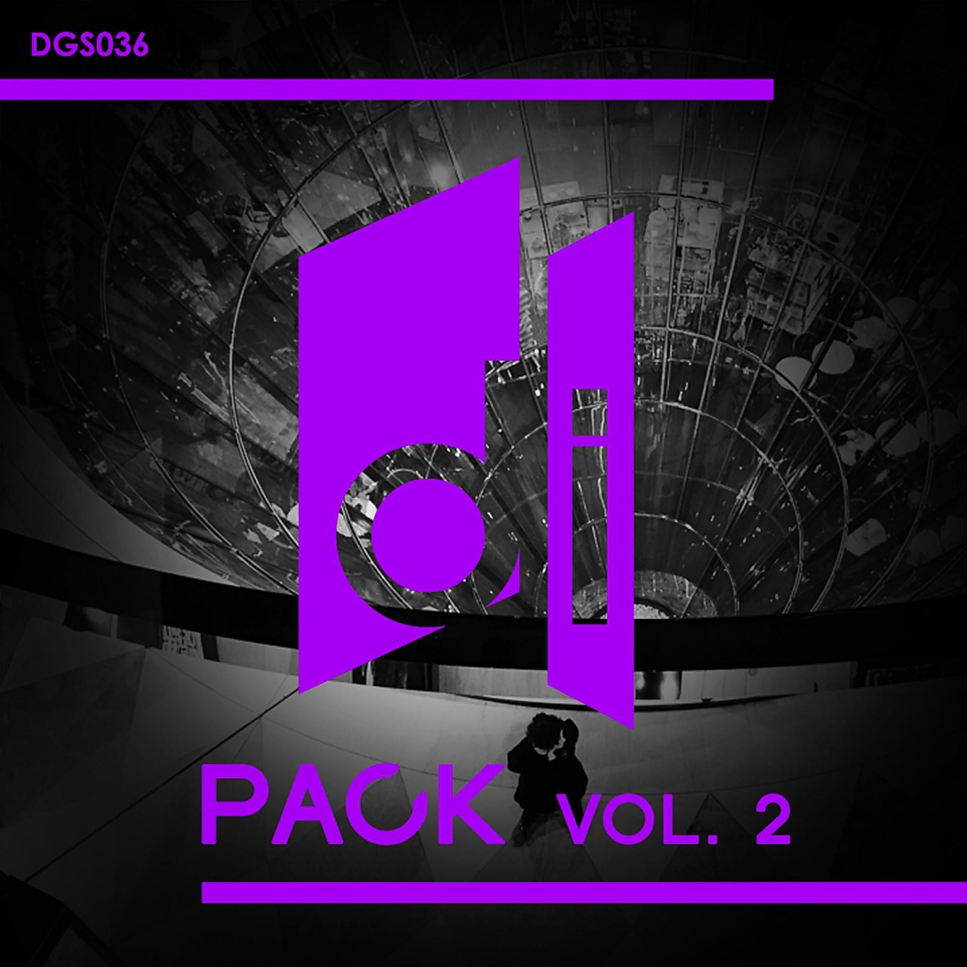 Постер альбома Disguise Records Pack, Vol. 2