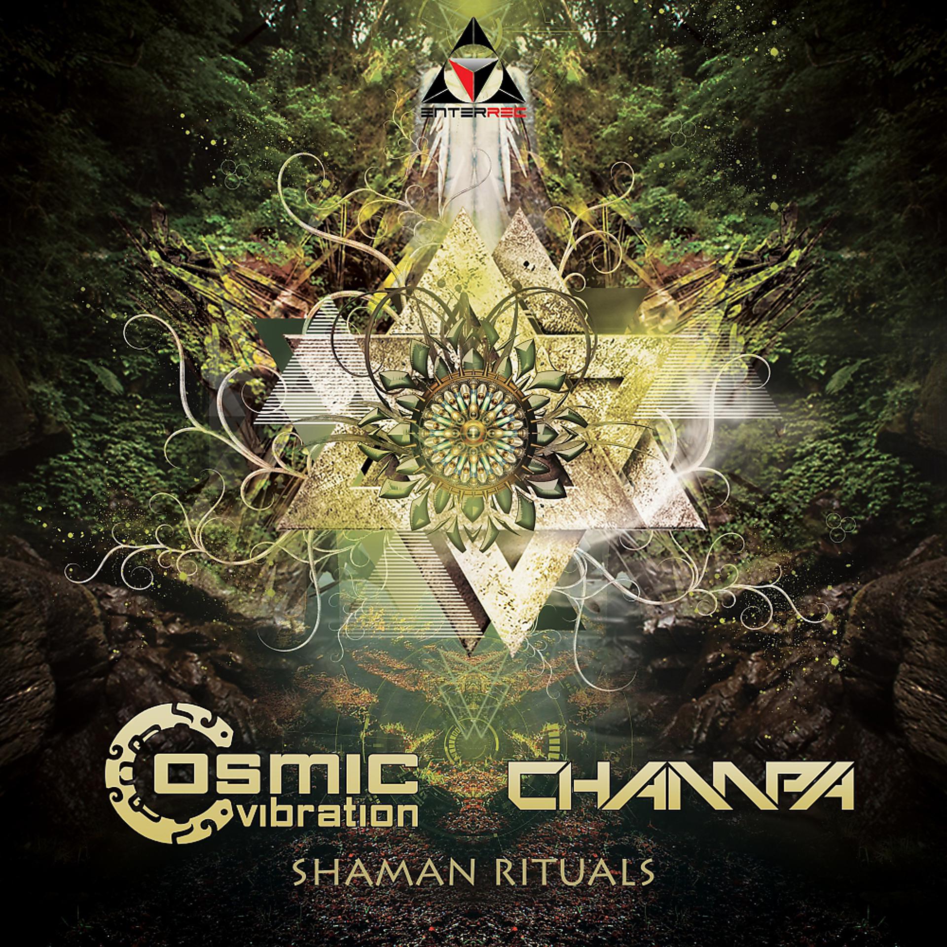 Постер альбома Shaman Rituals