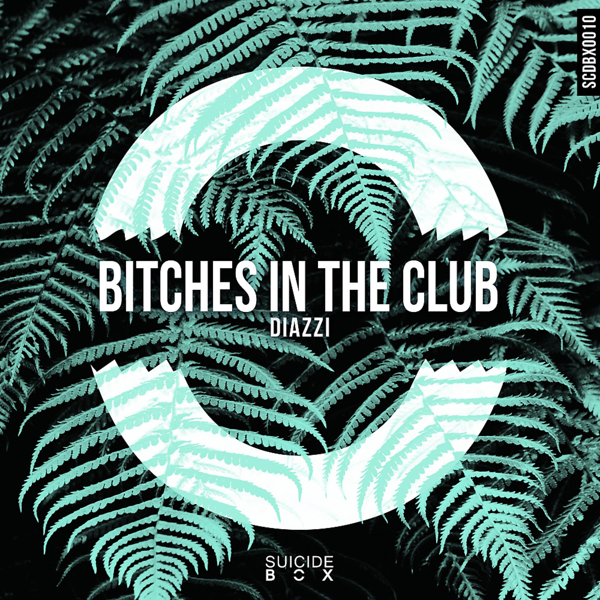 Постер альбома Bitches in the Club