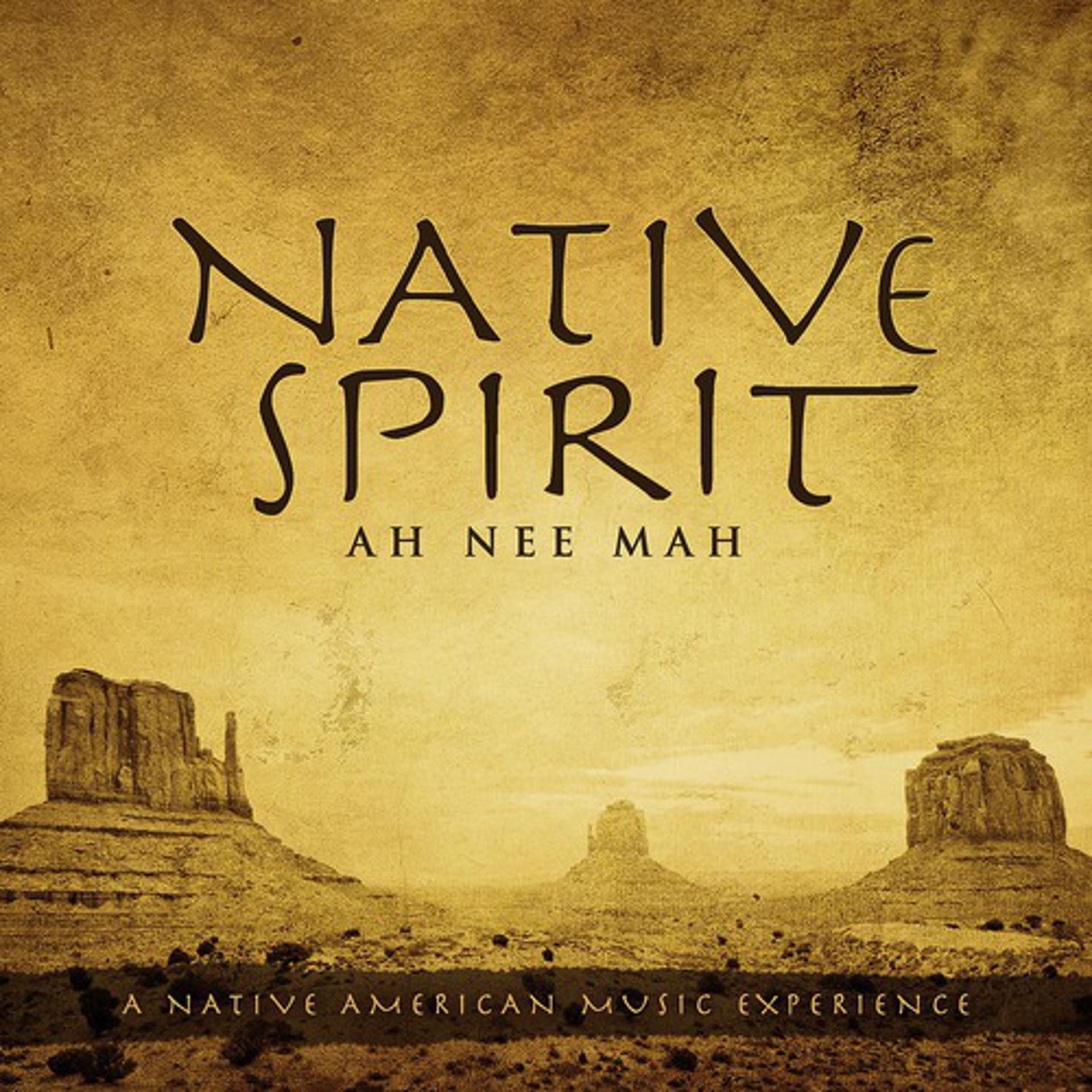Постер альбома Native Spirit: A Native American Music Experience