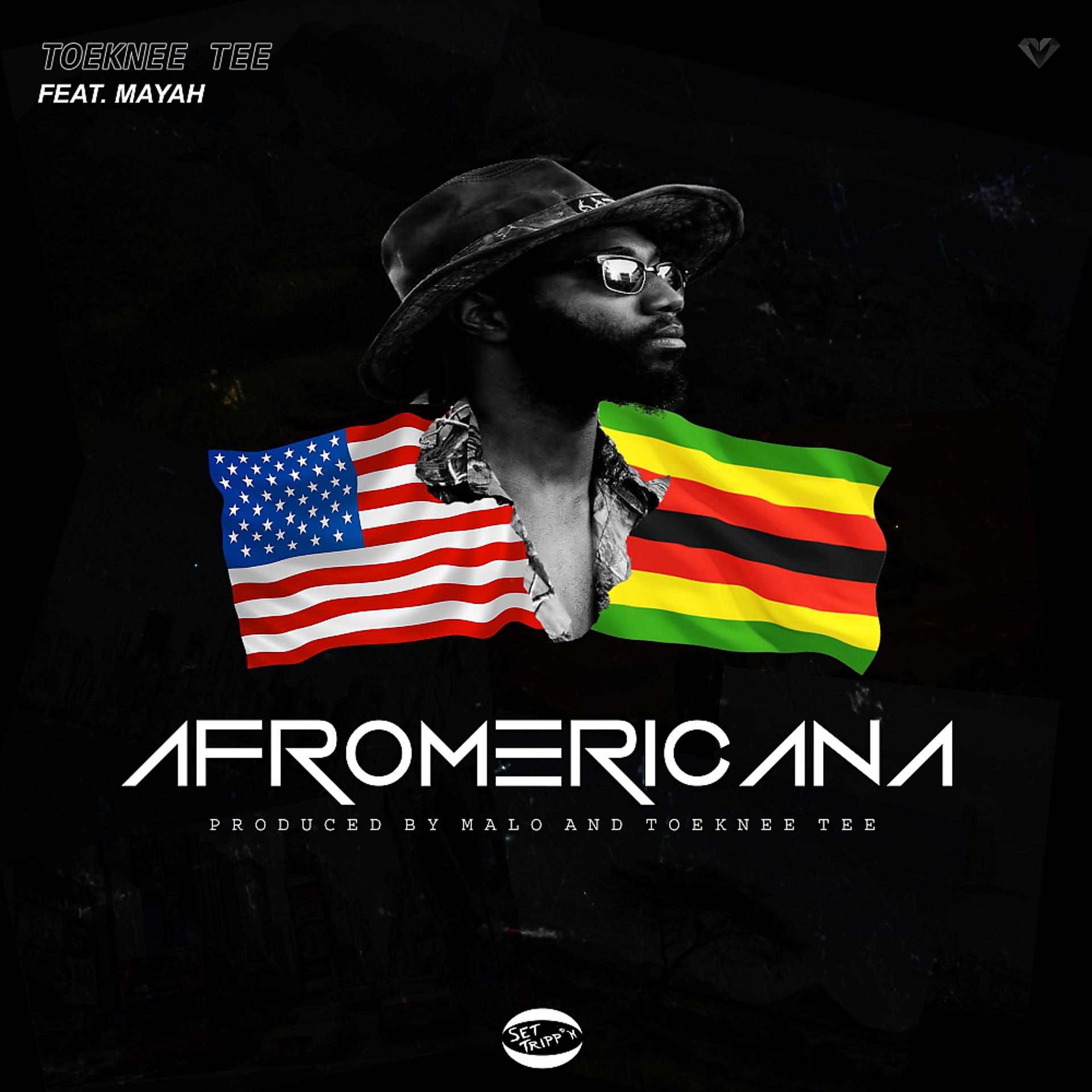 Постер альбома Afromericana