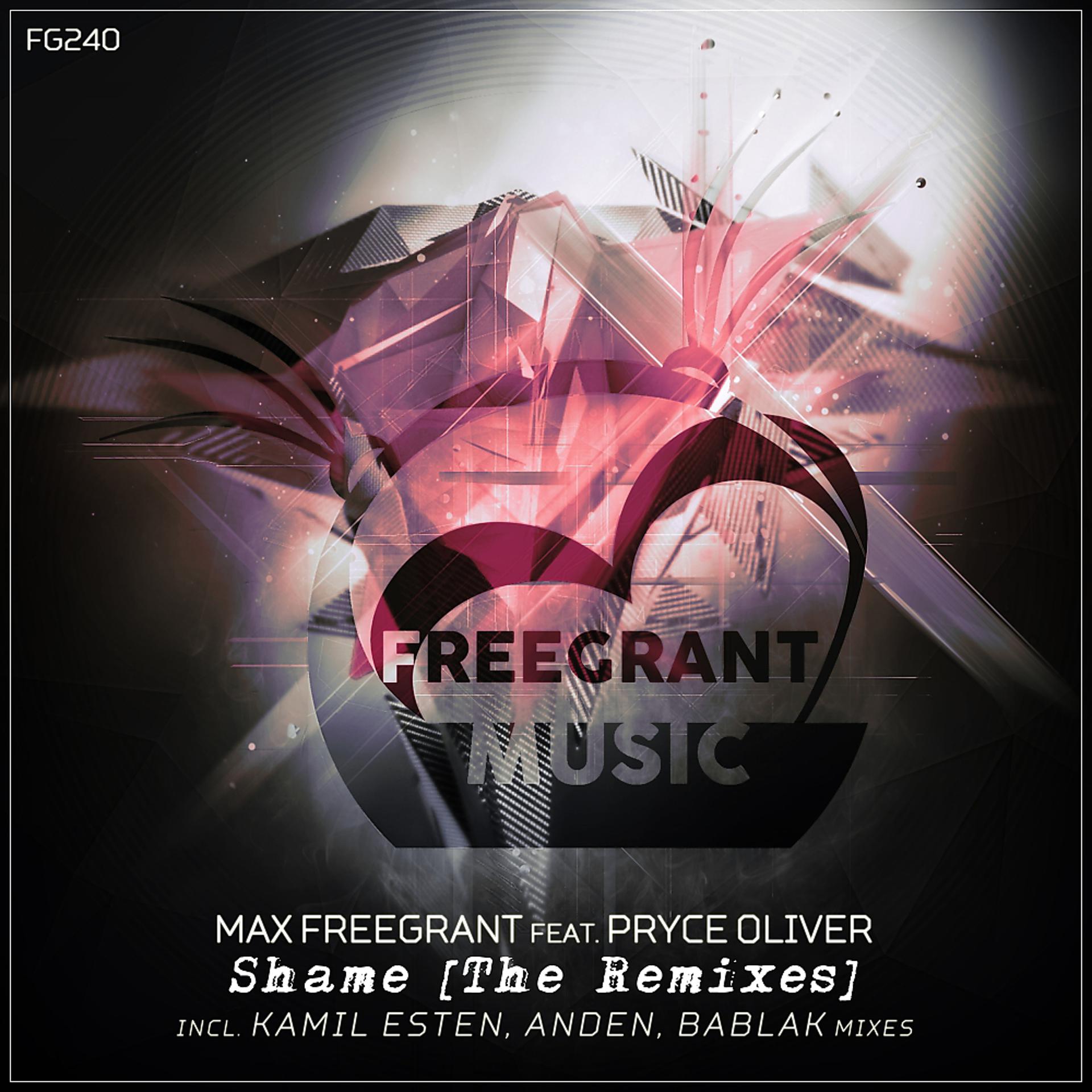 Постер альбома Shame [The Remixes]