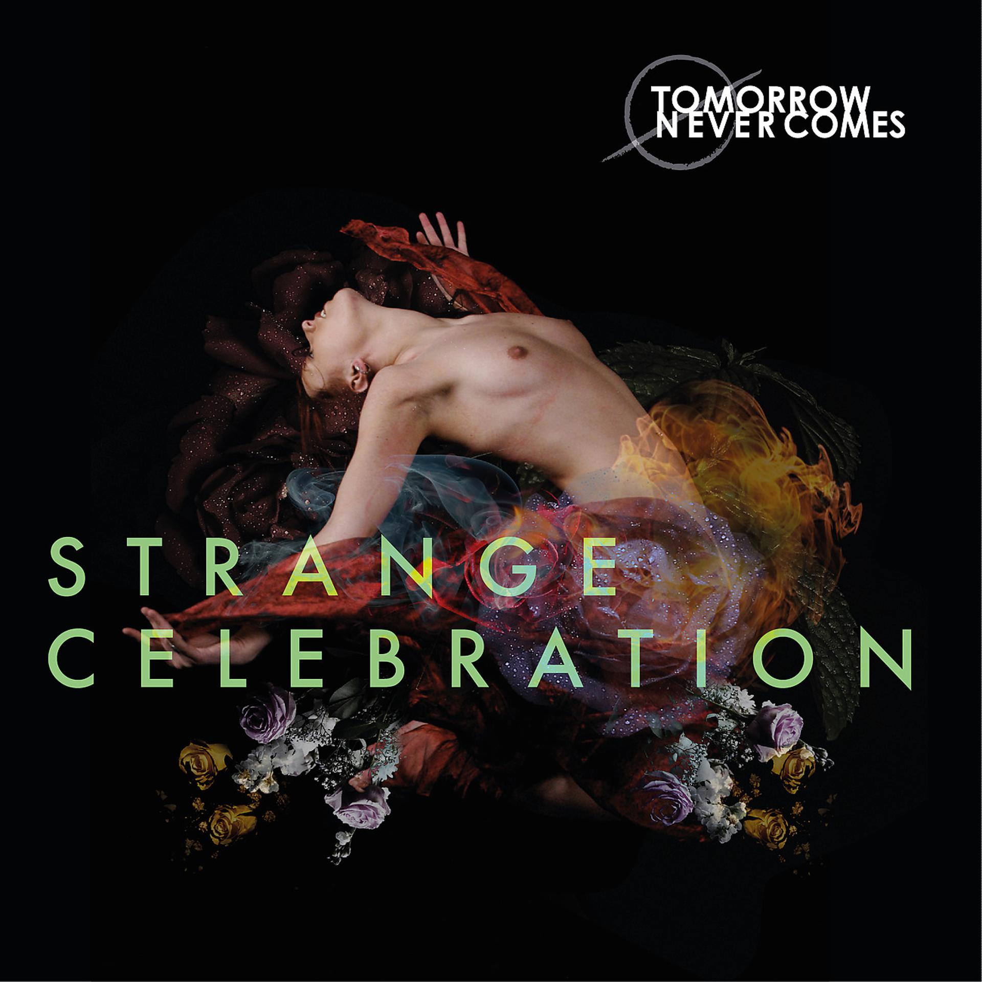 Постер альбома Strange Celebration