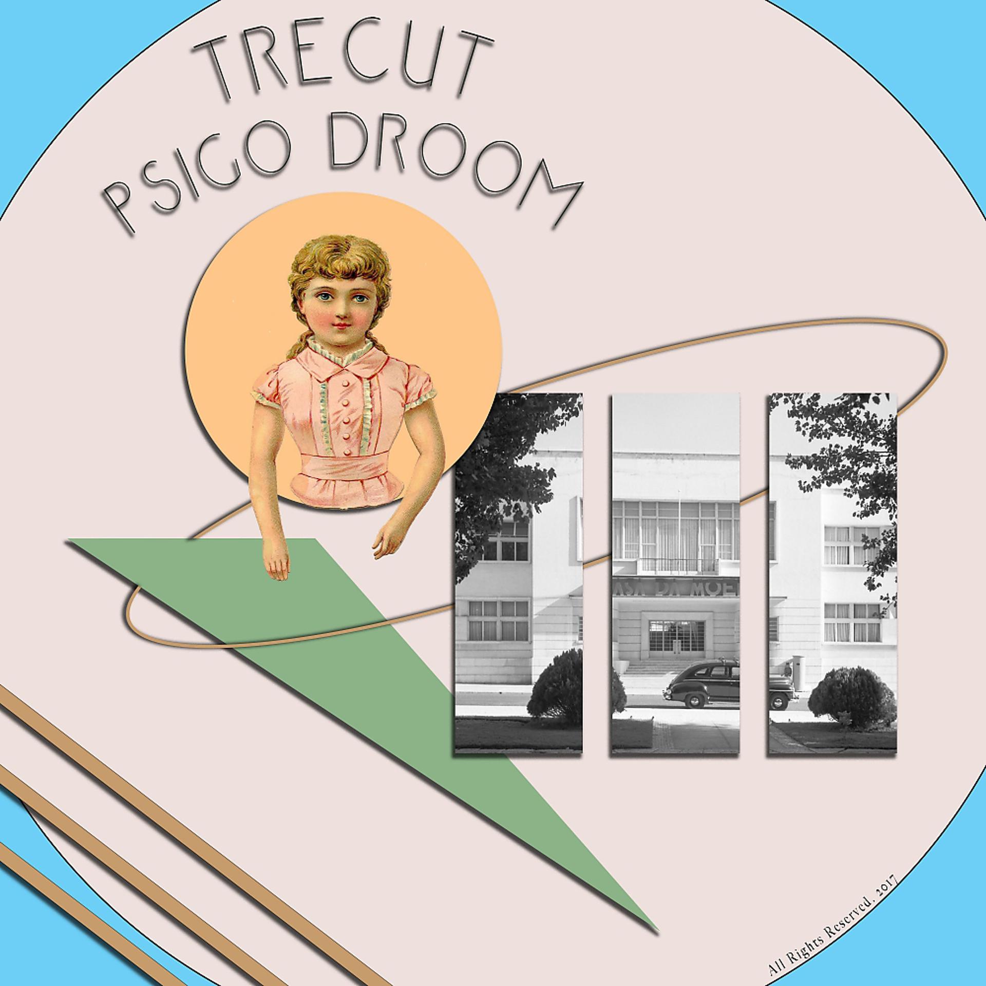 Постер альбома Psigo Droom