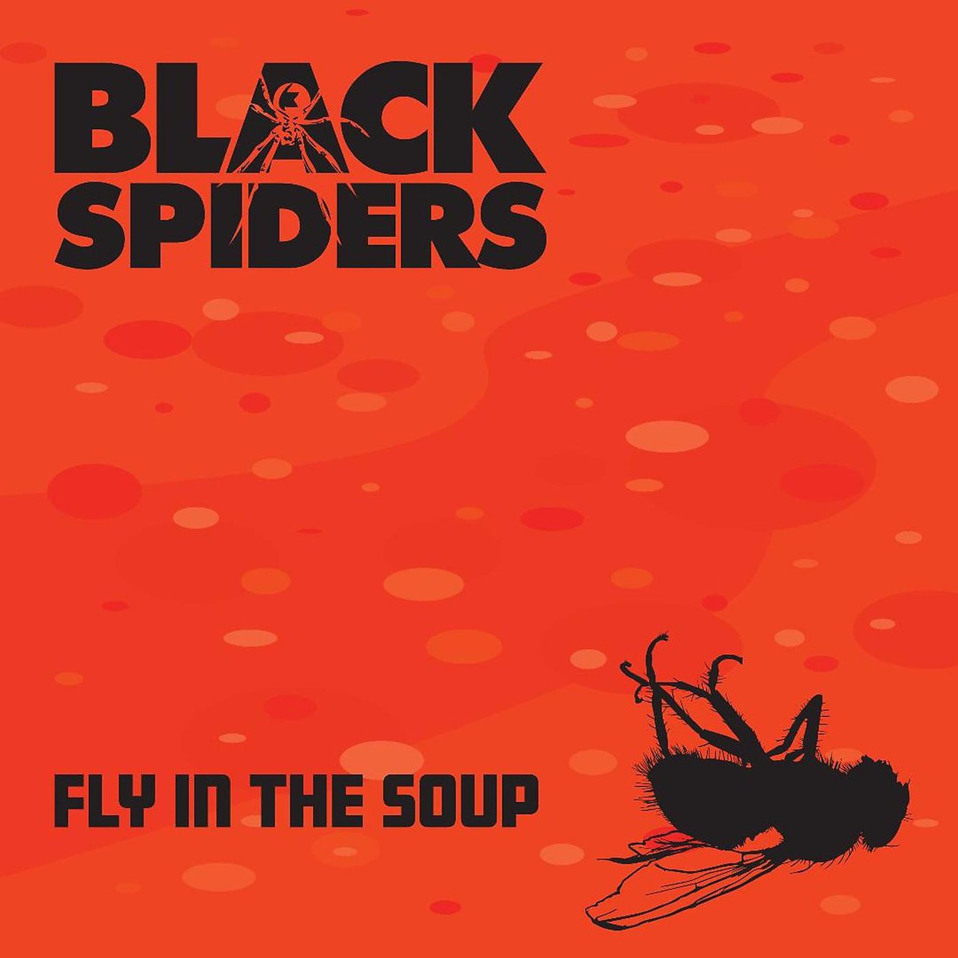 Постер альбома Fly in the Soup