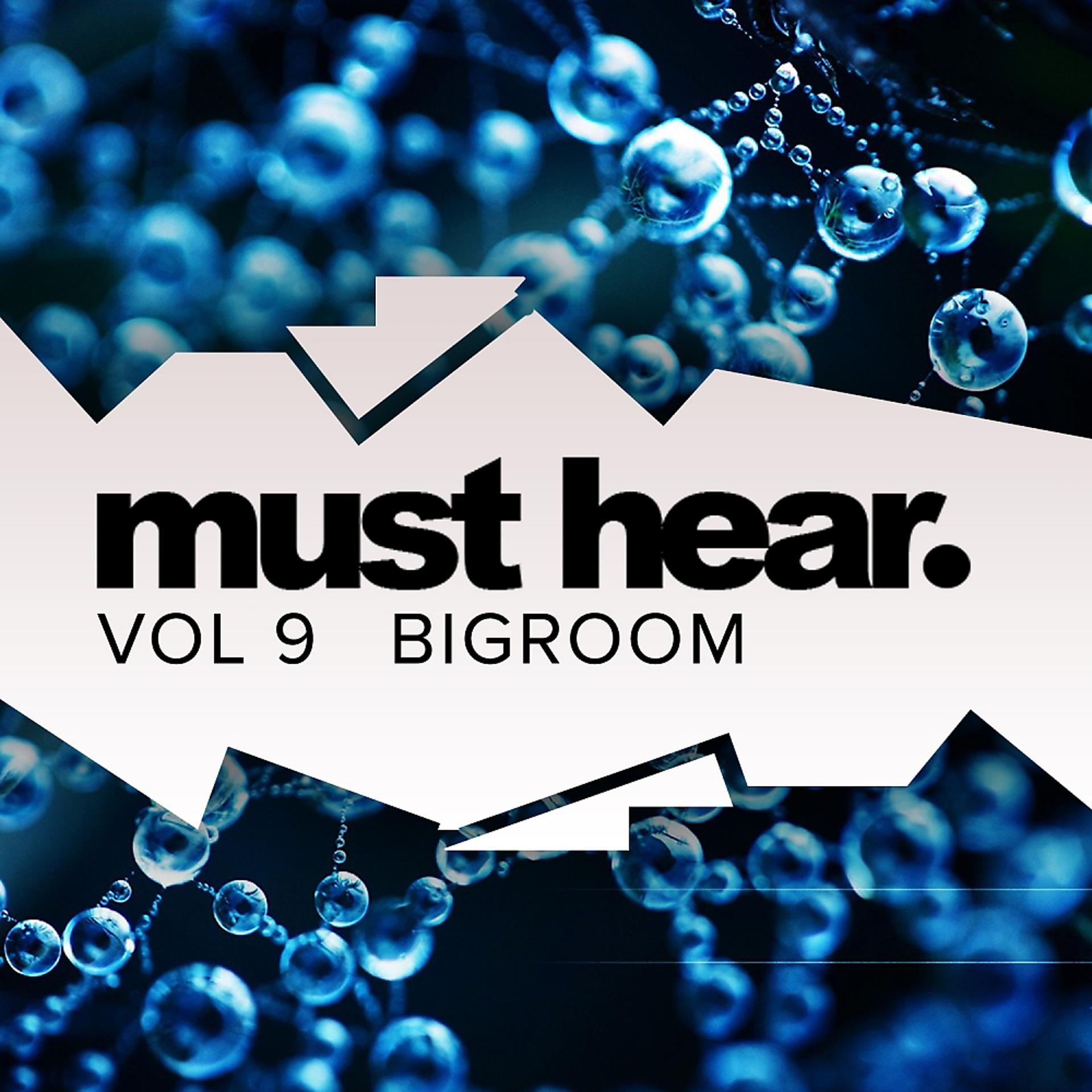 Постер альбома Must Hear, Vol. 9: Big Room