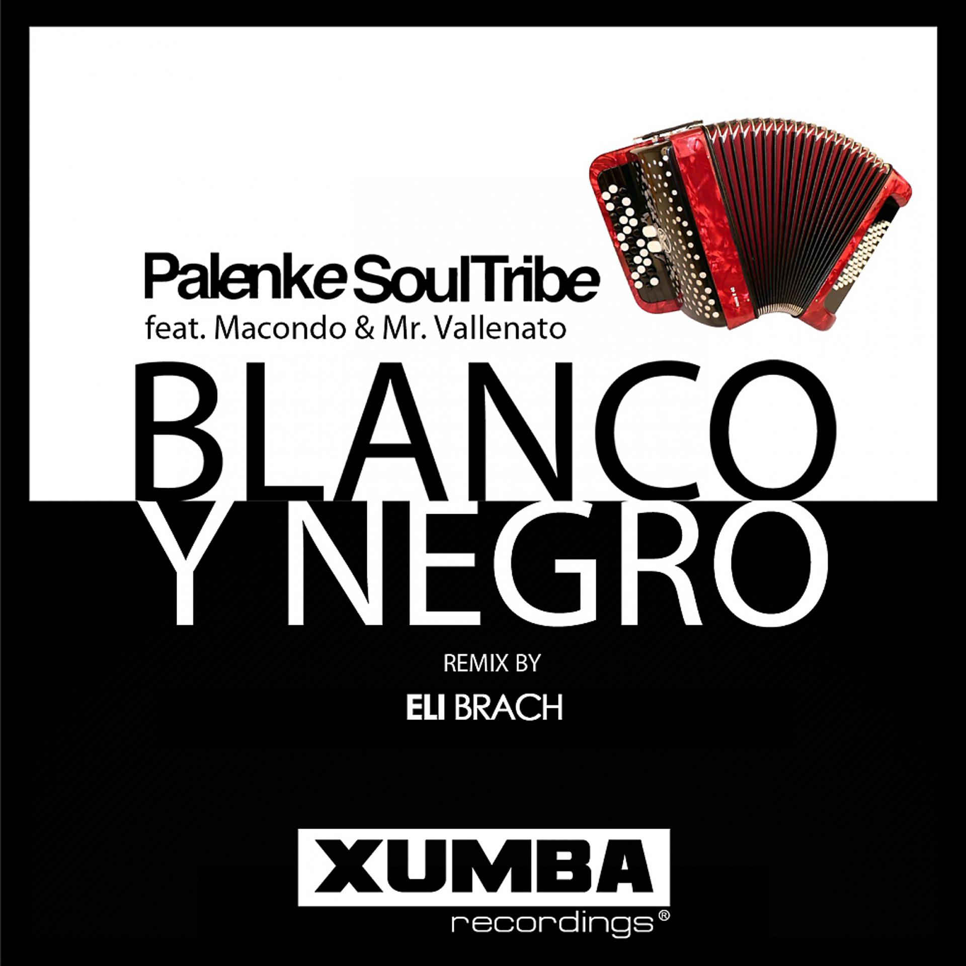 Постер альбома Blanco y Negro (Eli Brach Afro House Remix)