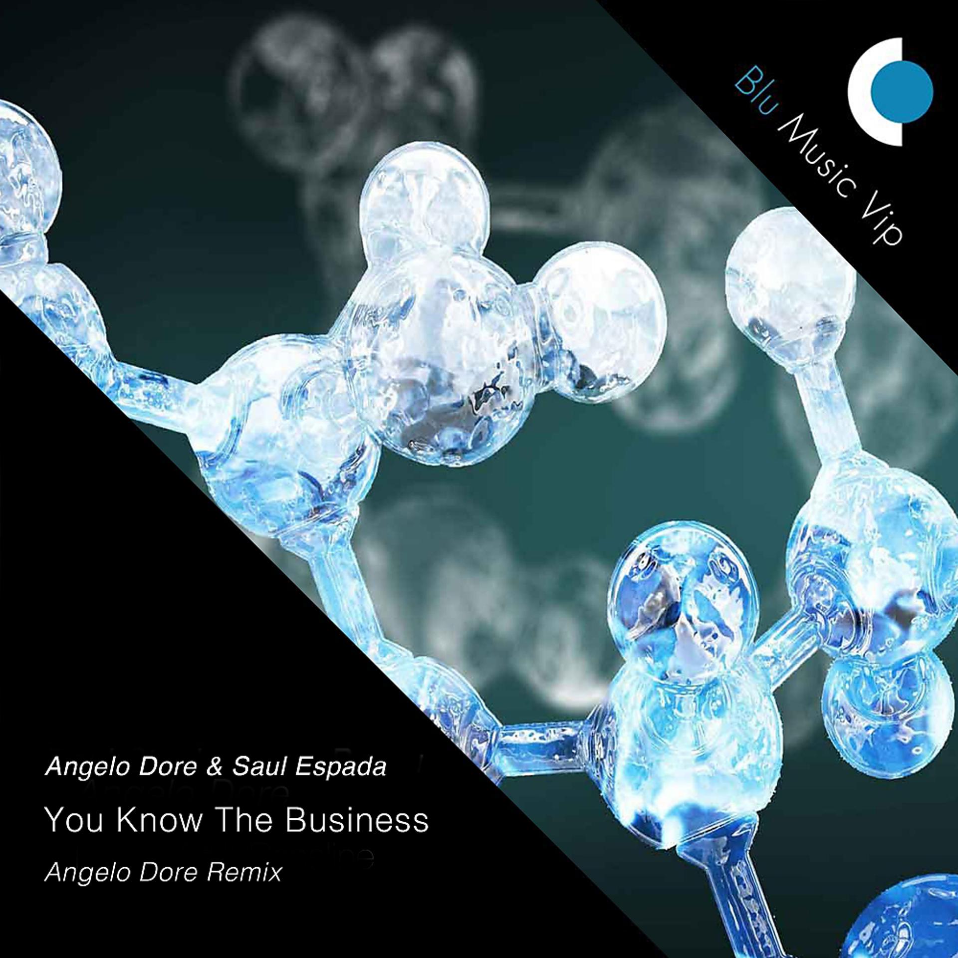 Постер альбома You Know The Business (Angelo Dore Remix)