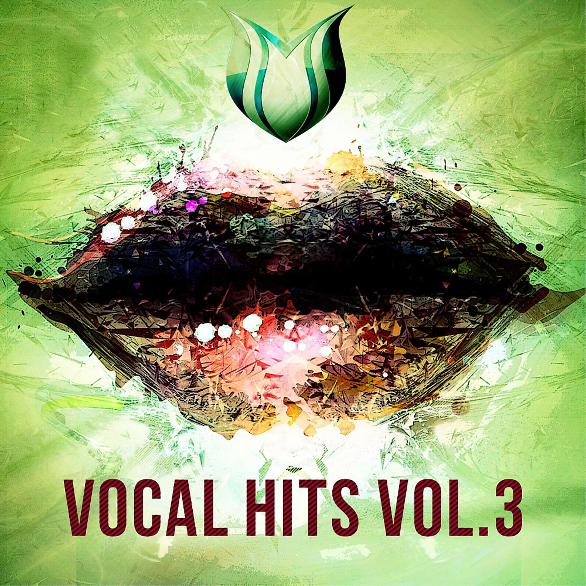 Постер альбома Vocal Hits, Vol. 3