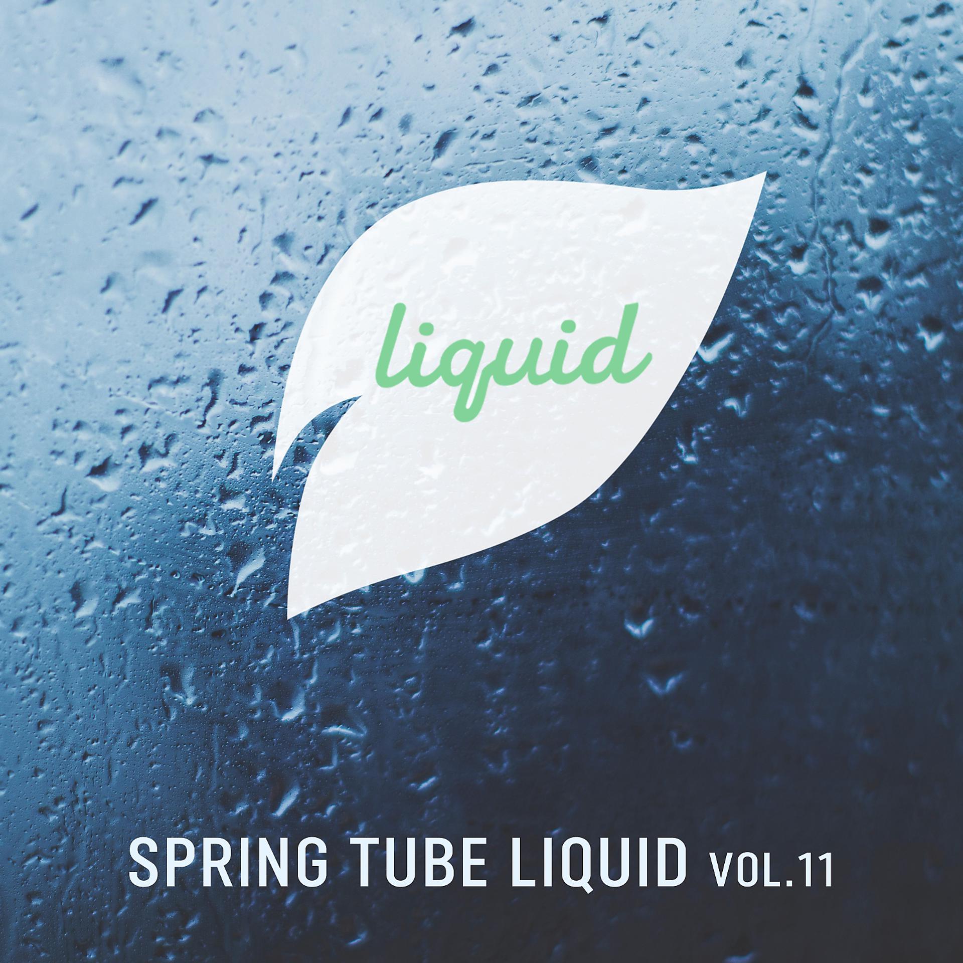 Постер альбома Spring Tube Liquid, Vol.11