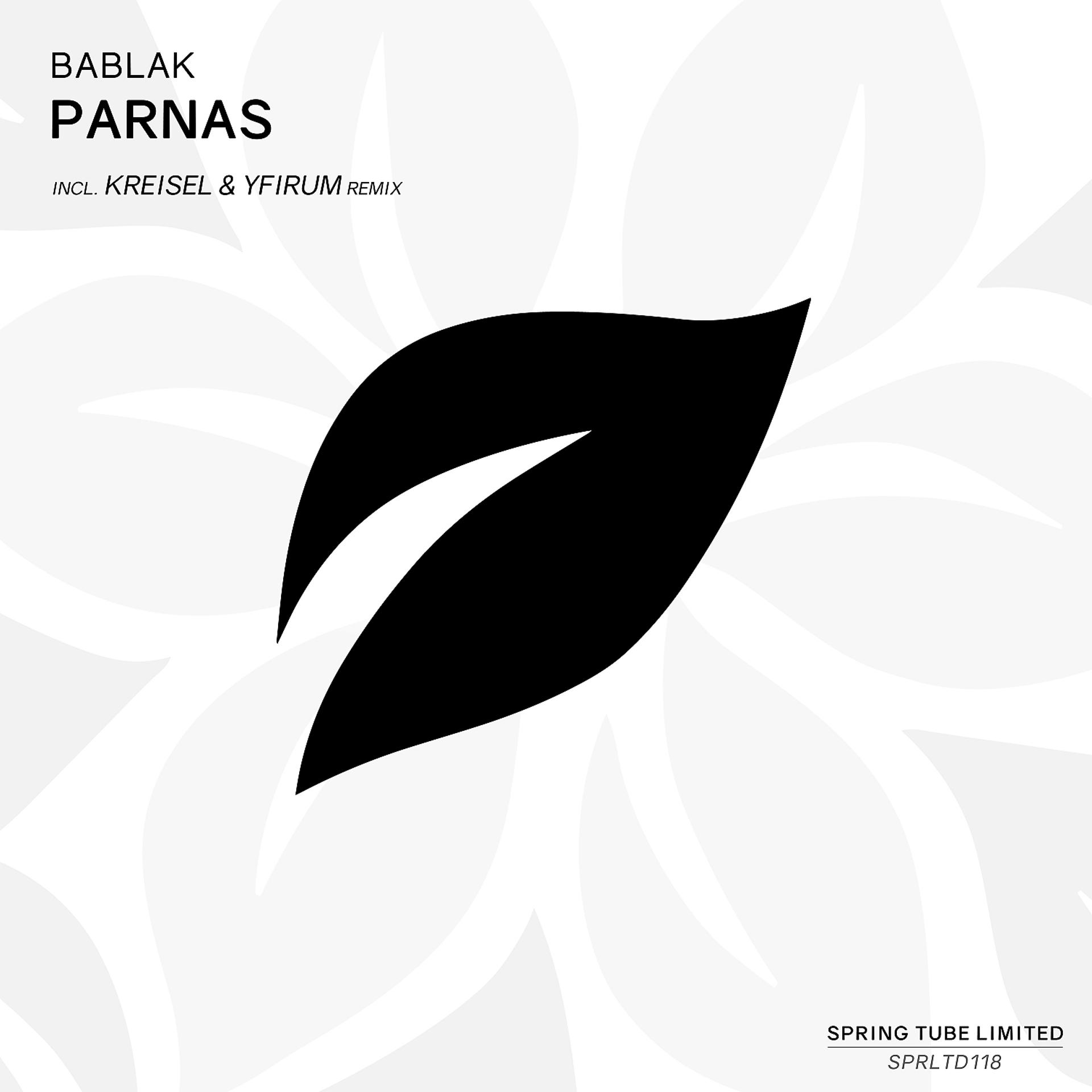 Постер альбома Parnas