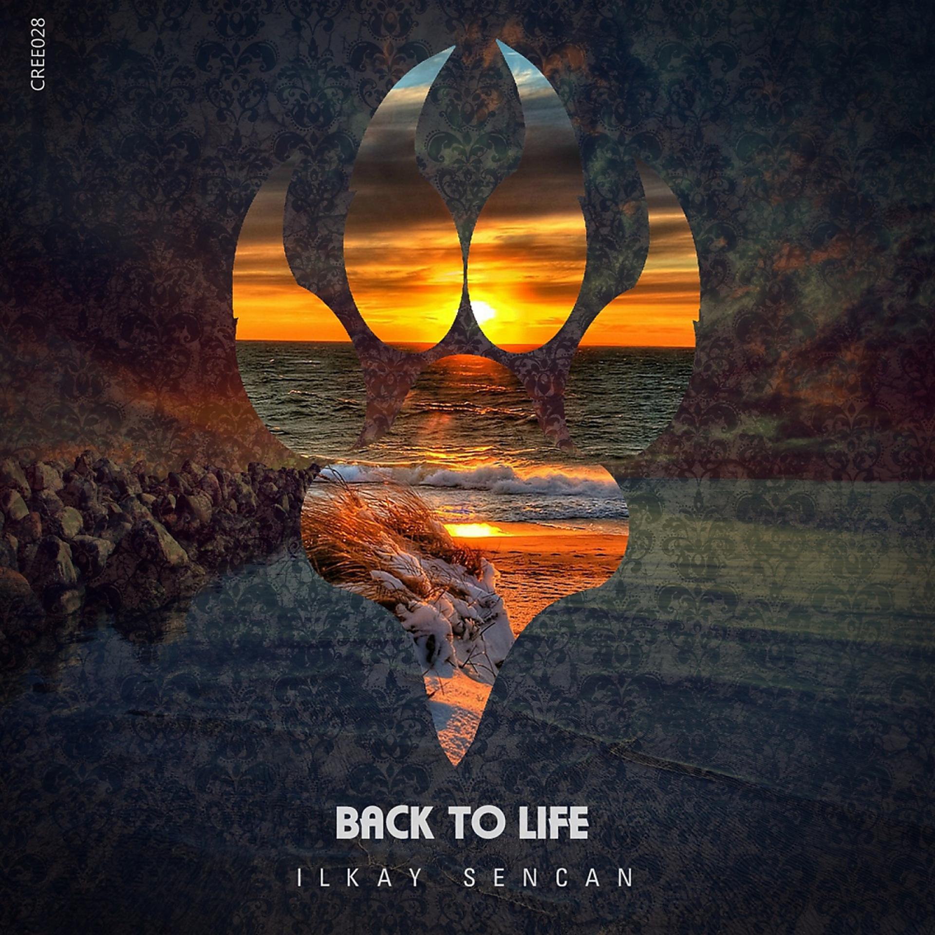 Back to life 3. Back to Life. Back обложки альбомов. Обложка альбома back to back. Ilkay Sencan.