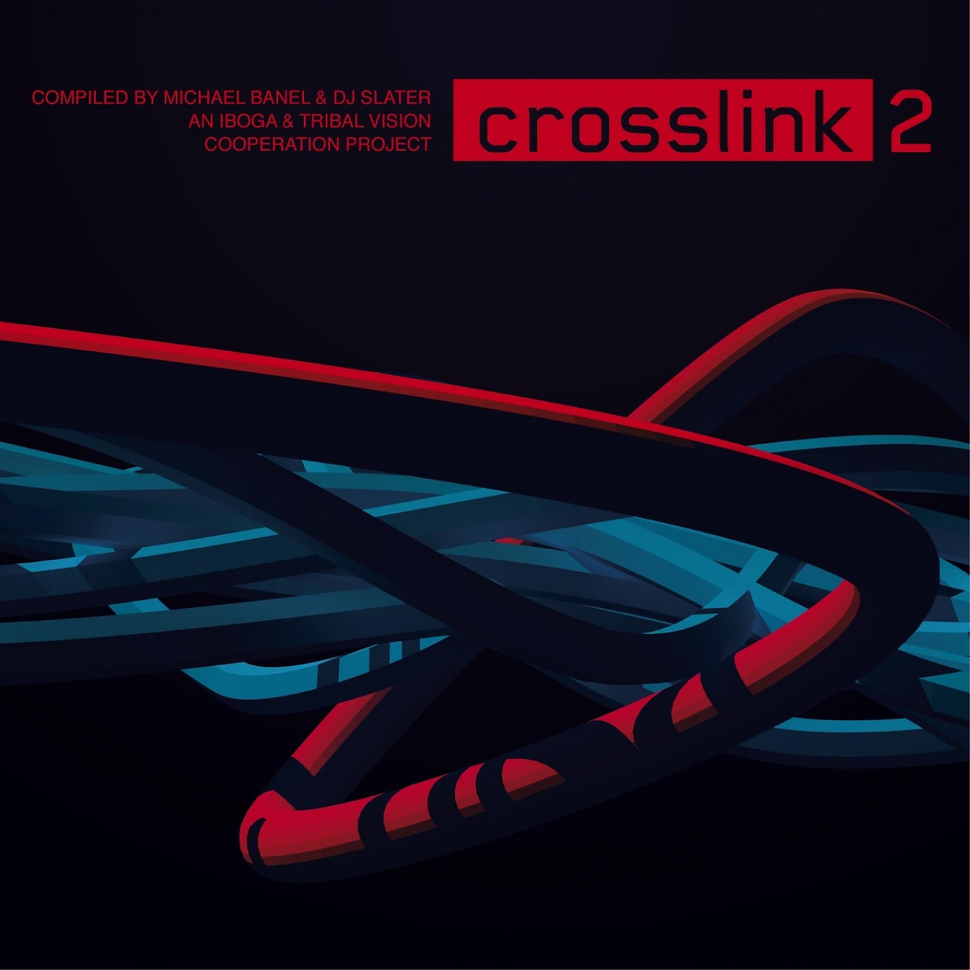 Постер альбома Crosslink 2