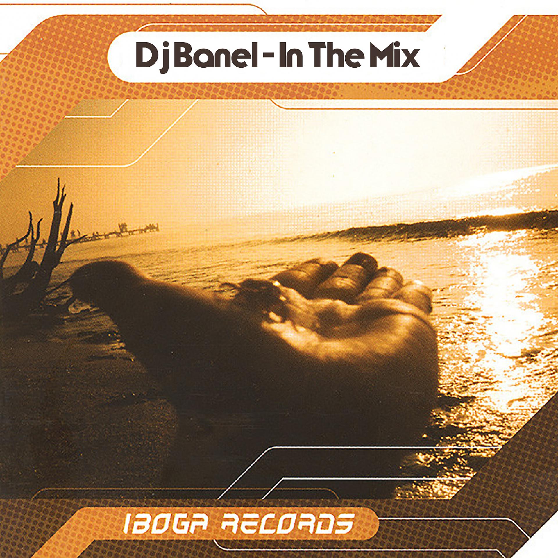 Постер альбома DJ Banel in the Mix