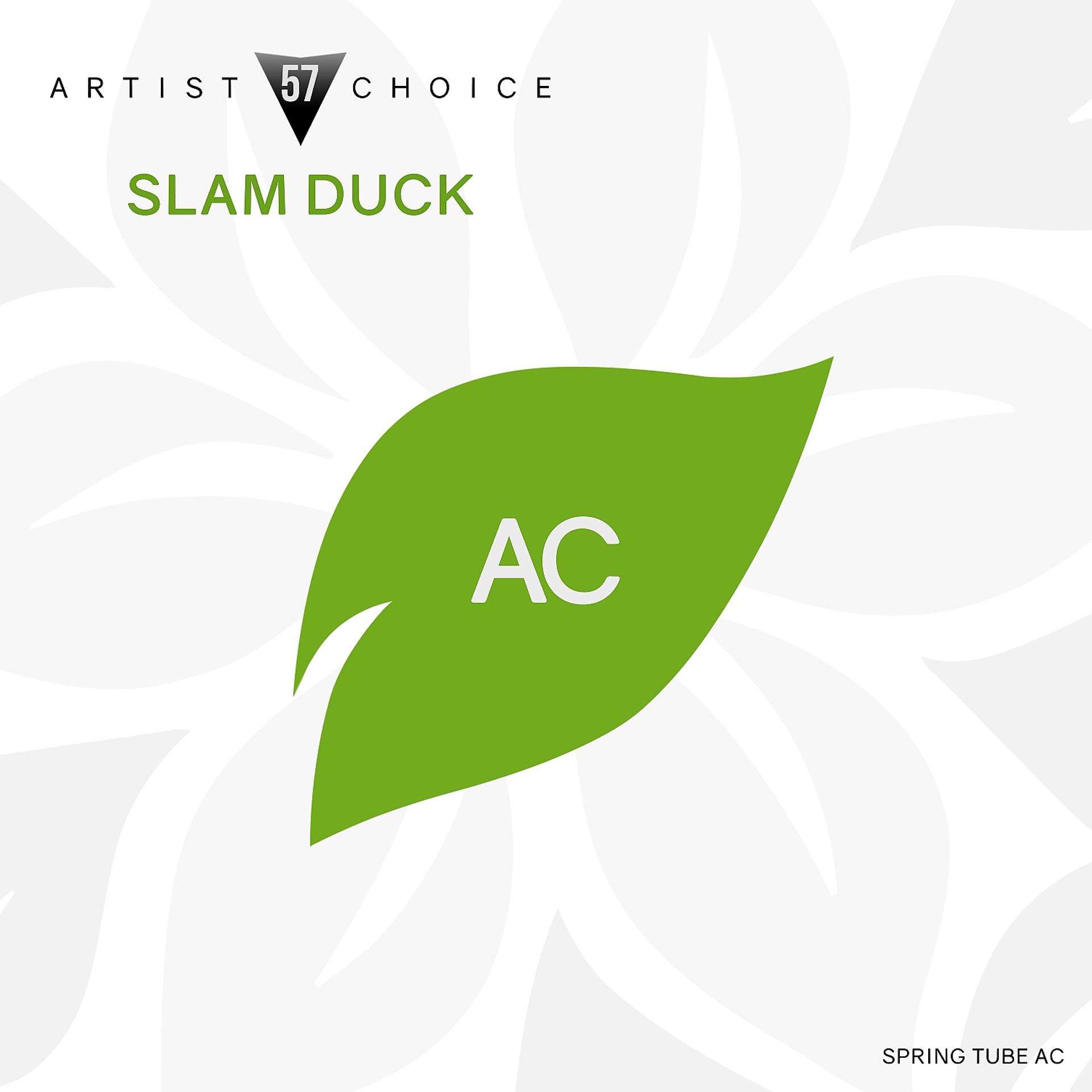 Постер альбома Artist Choice 057: Slam Duck