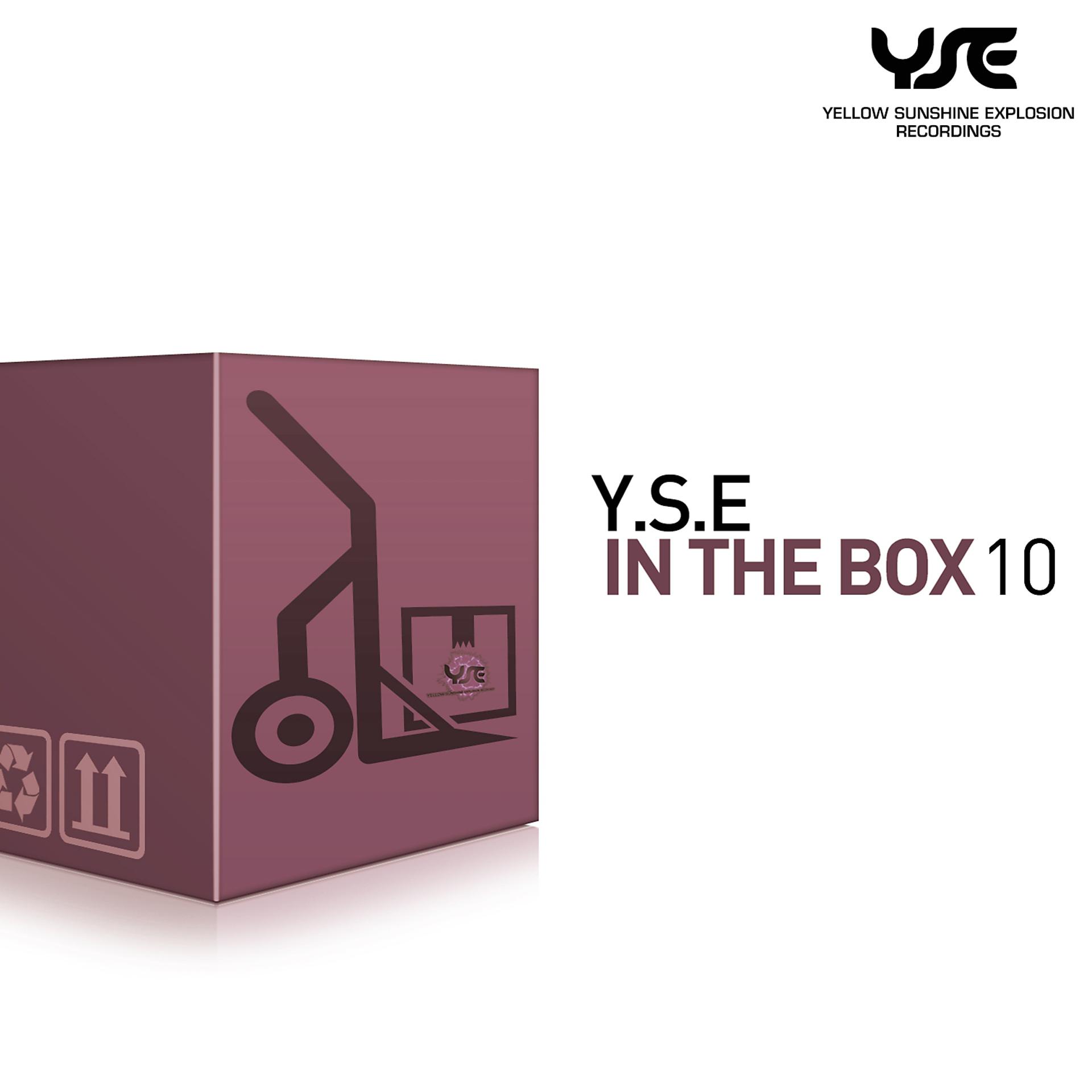Постер альбома Y.S.E. in the Box, Vol. 10