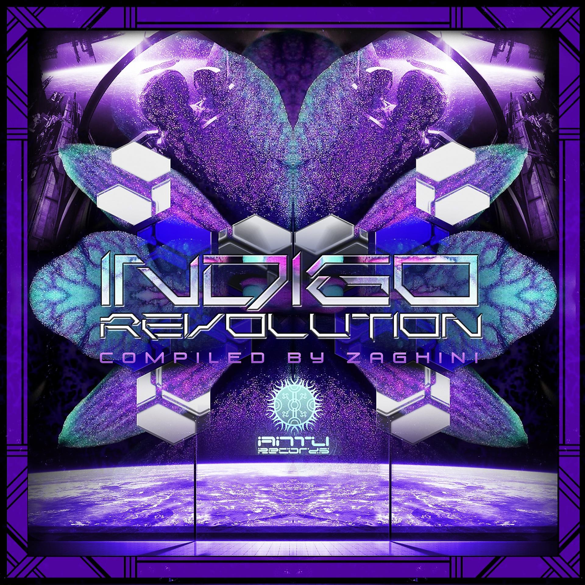 Постер альбома Indigo Revolution - Compiled by Dj Zaghini