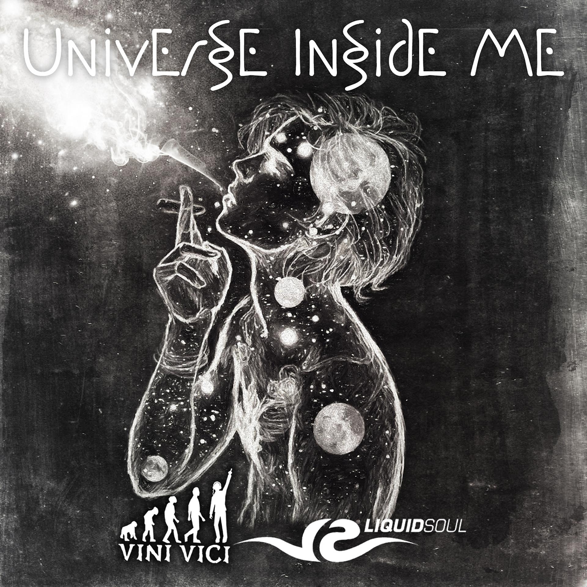 Постер альбома Universe Inside Me