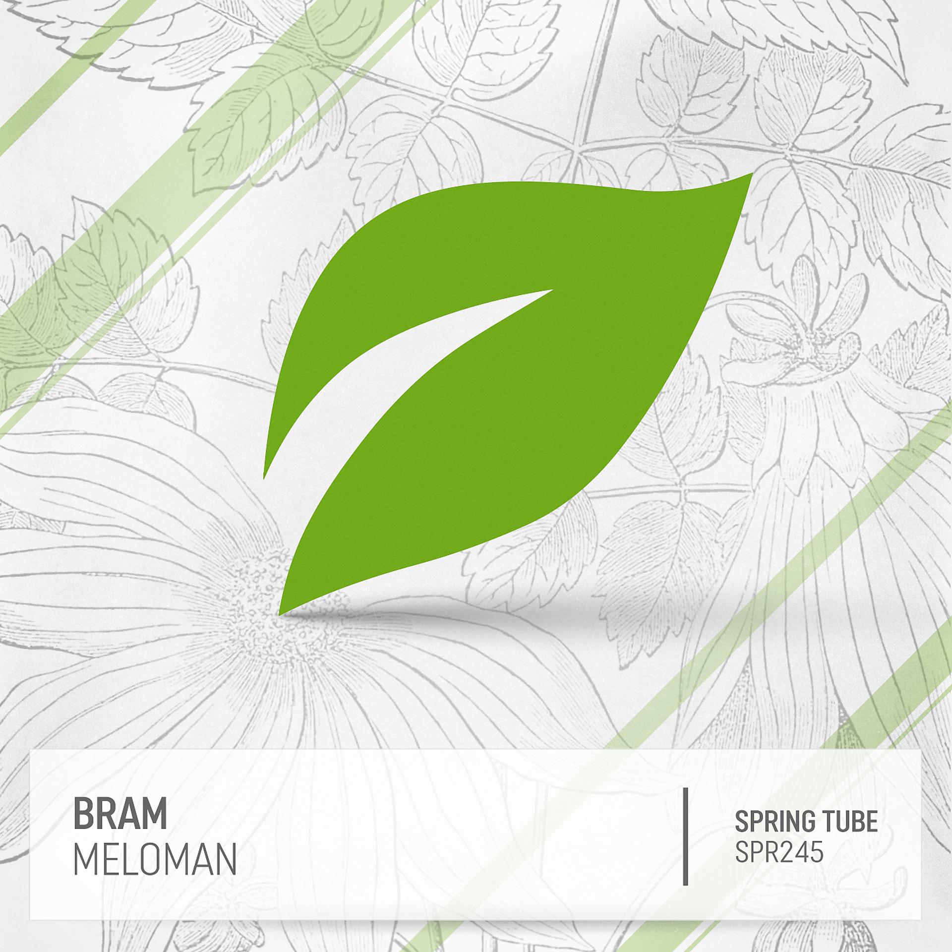 Постер альбома Meloman