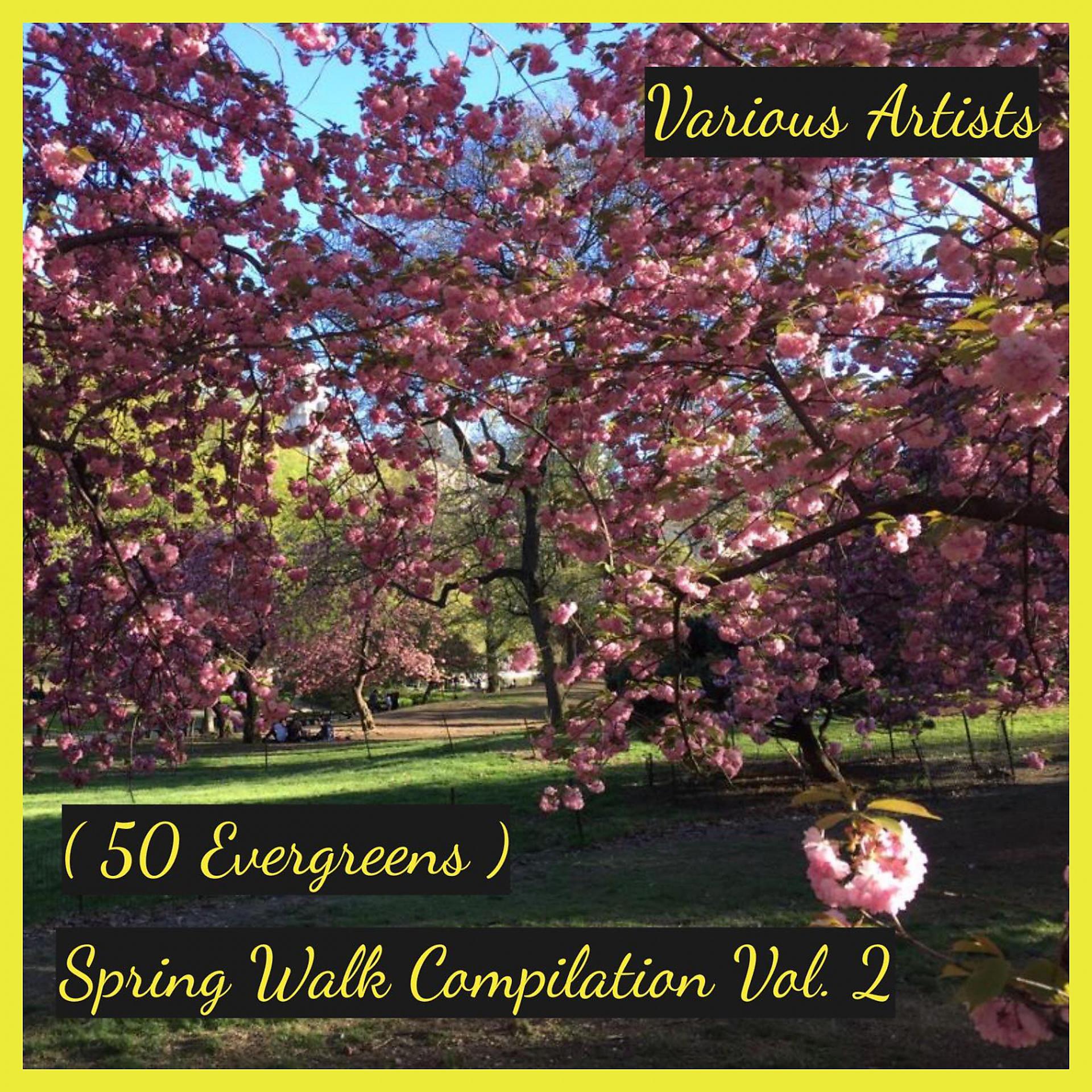 Постер альбома Spring Walk Compilation, Vol. 2