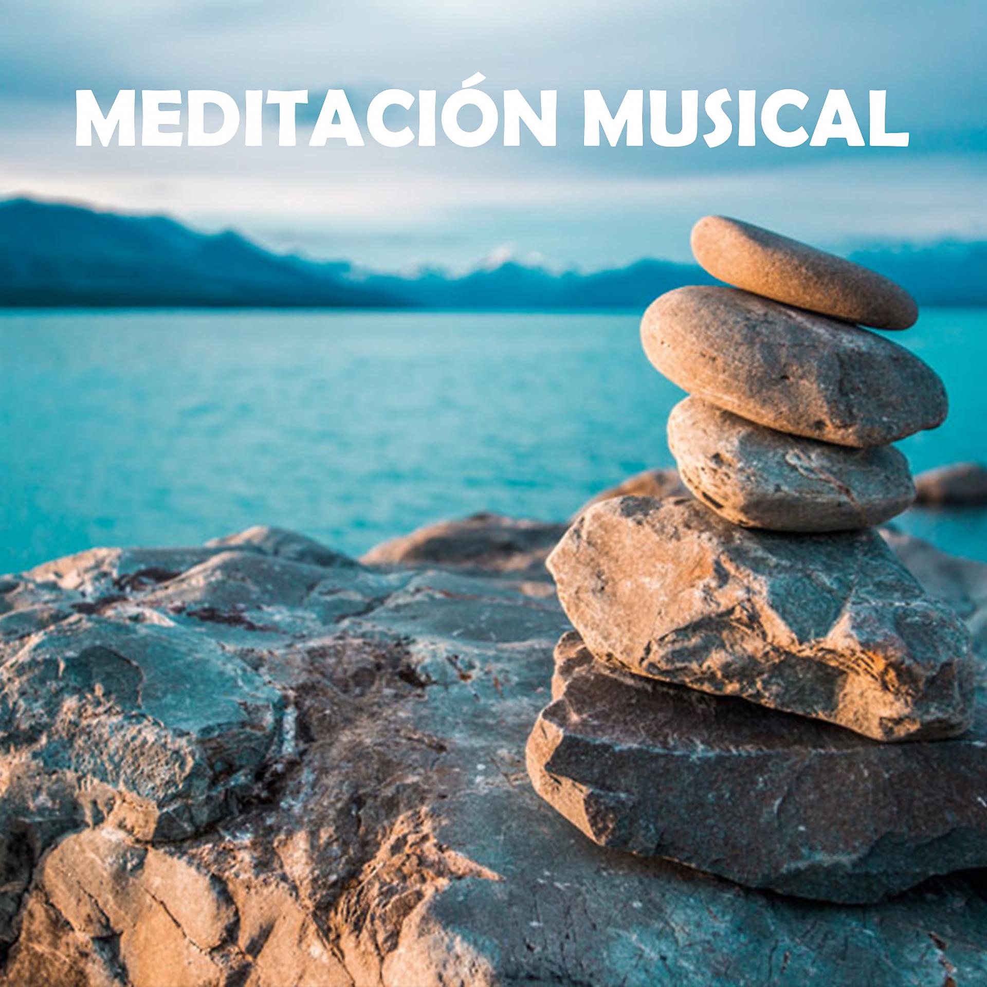 Постер альбома Meditación Musical
