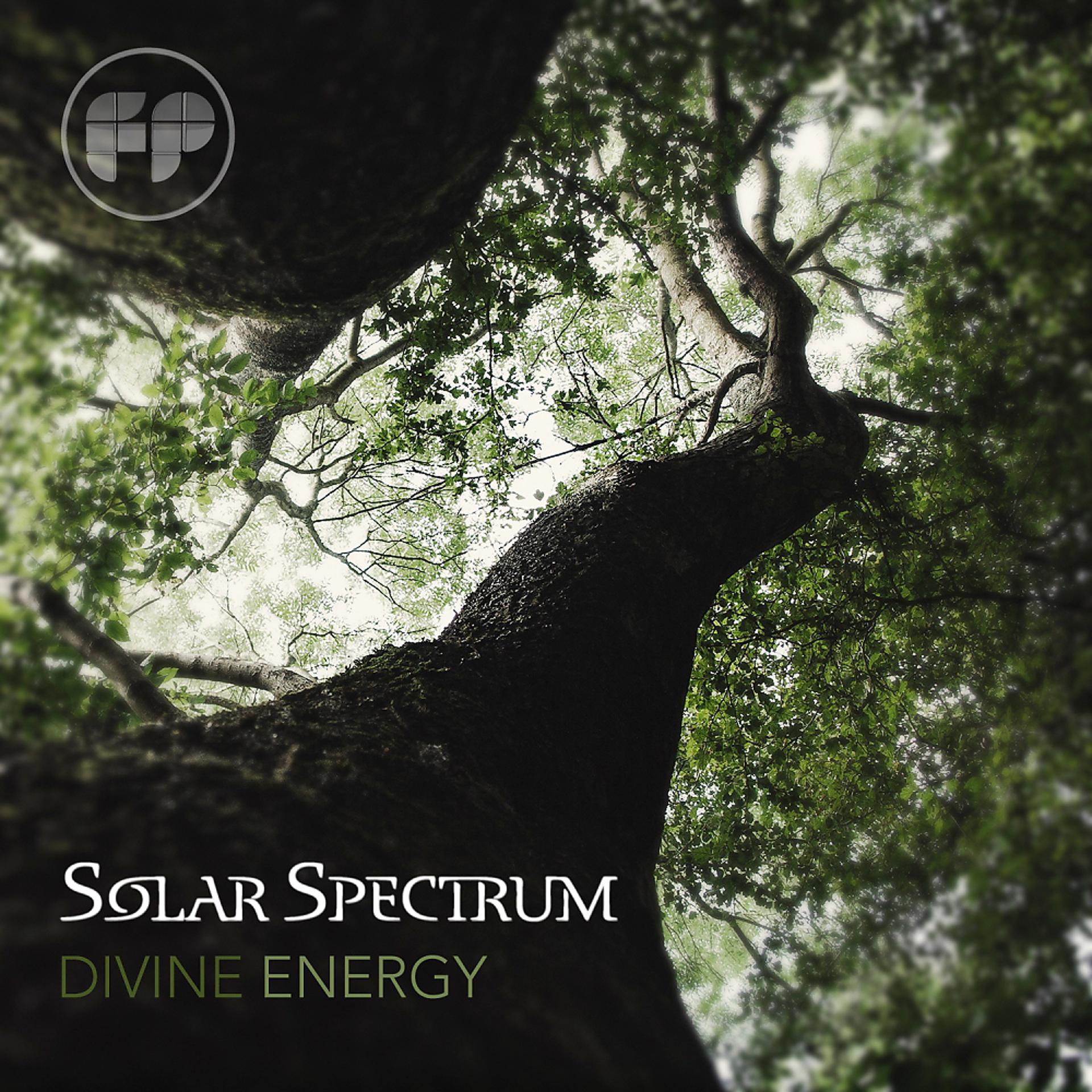 Постер альбома Divine Energy