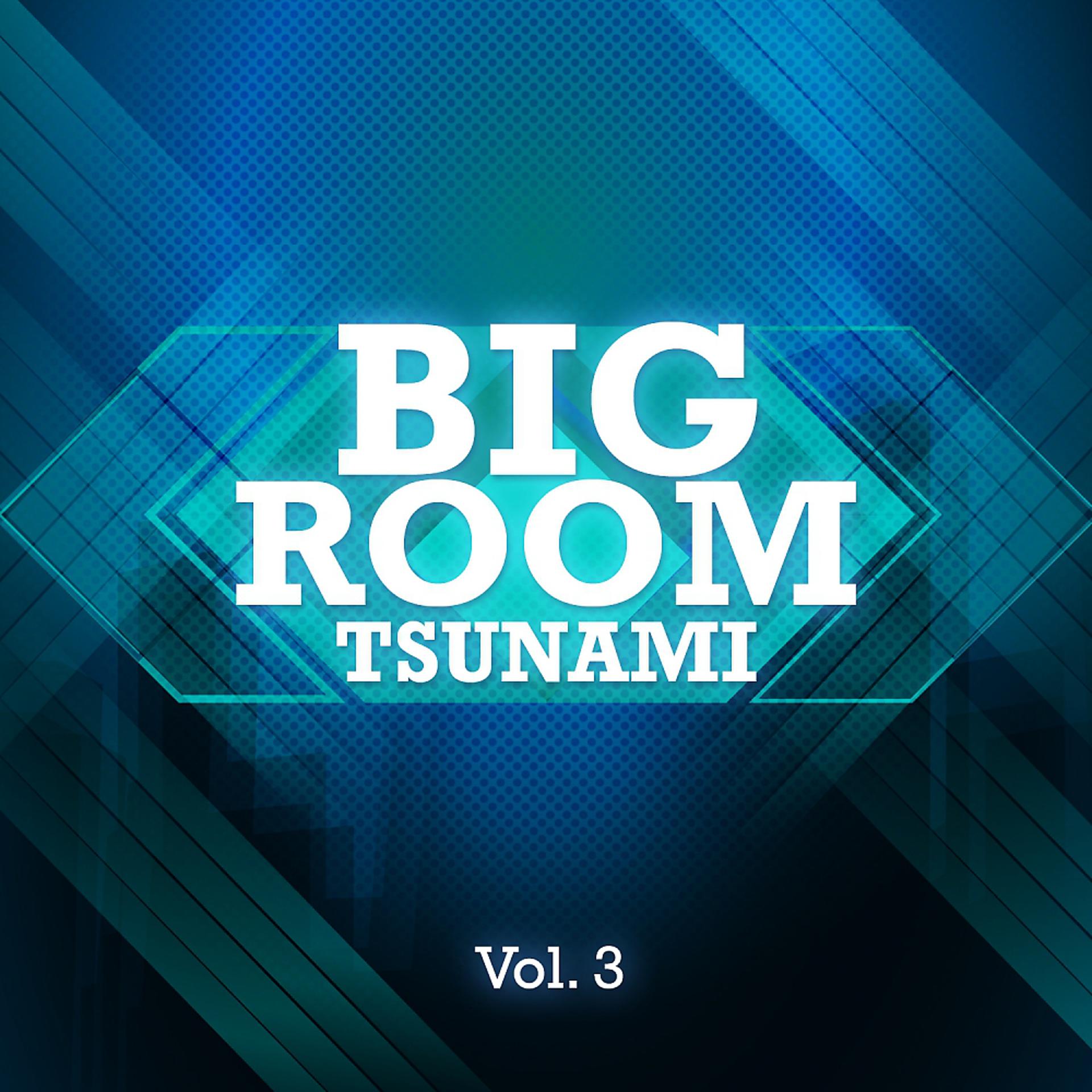 Постер альбома Bigroom Tsunami, Vol. 3
