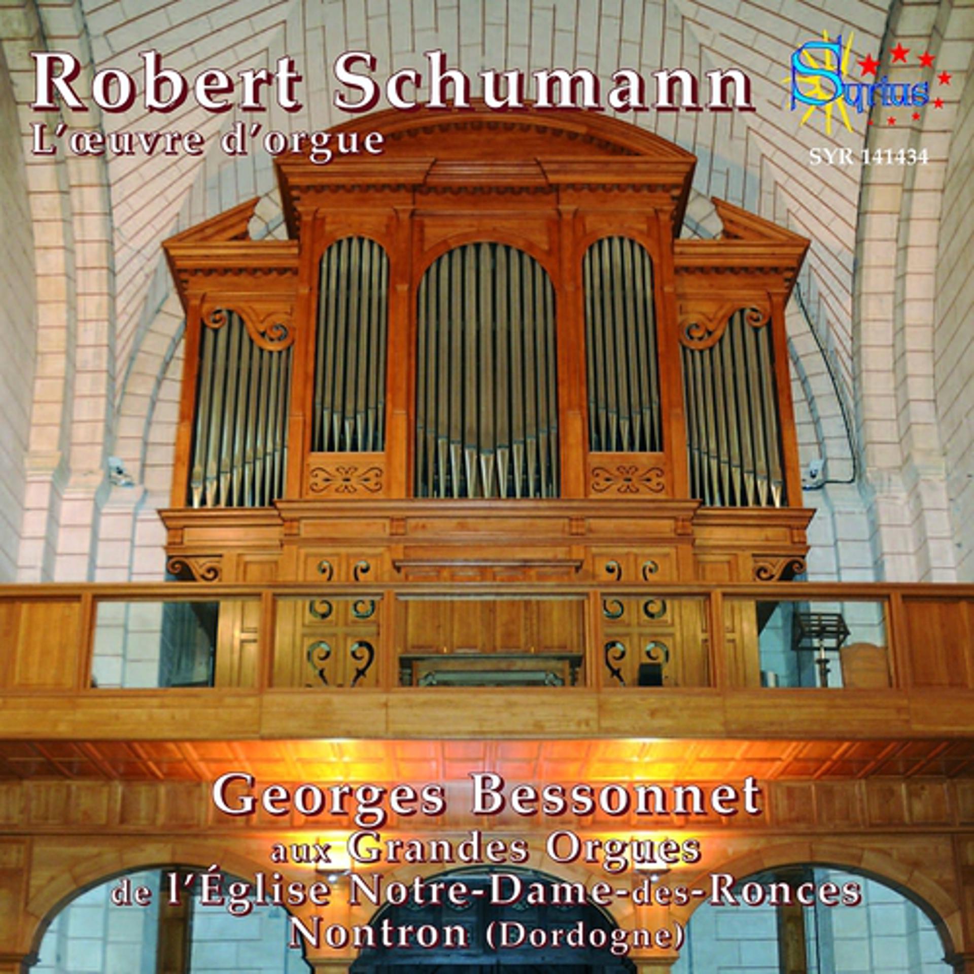 Постер альбома Robert Schumann: L'œuvre d'orgue