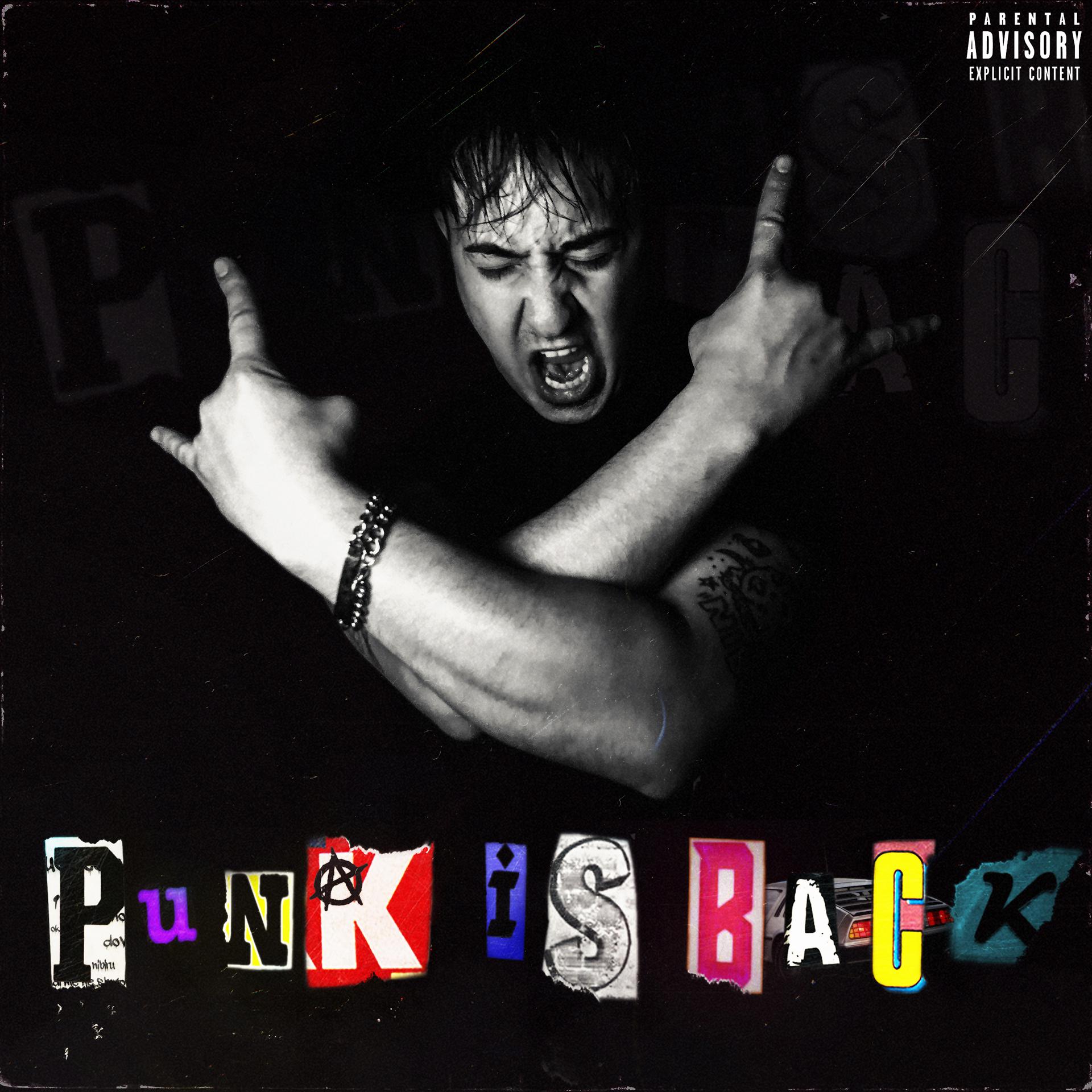 Постер альбома Punk Is Back