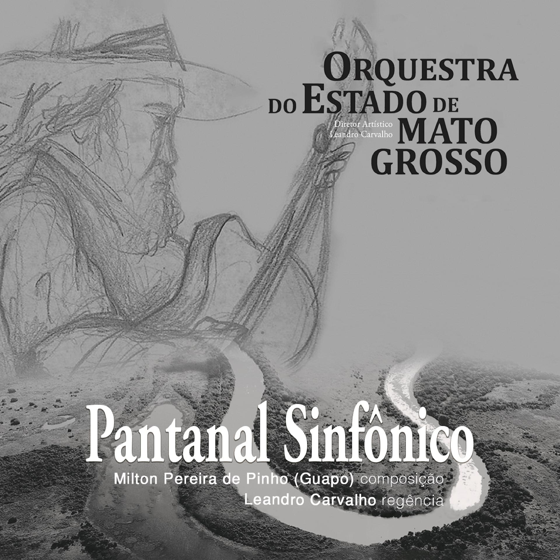 Постер альбома Pantanal Sinfônico
