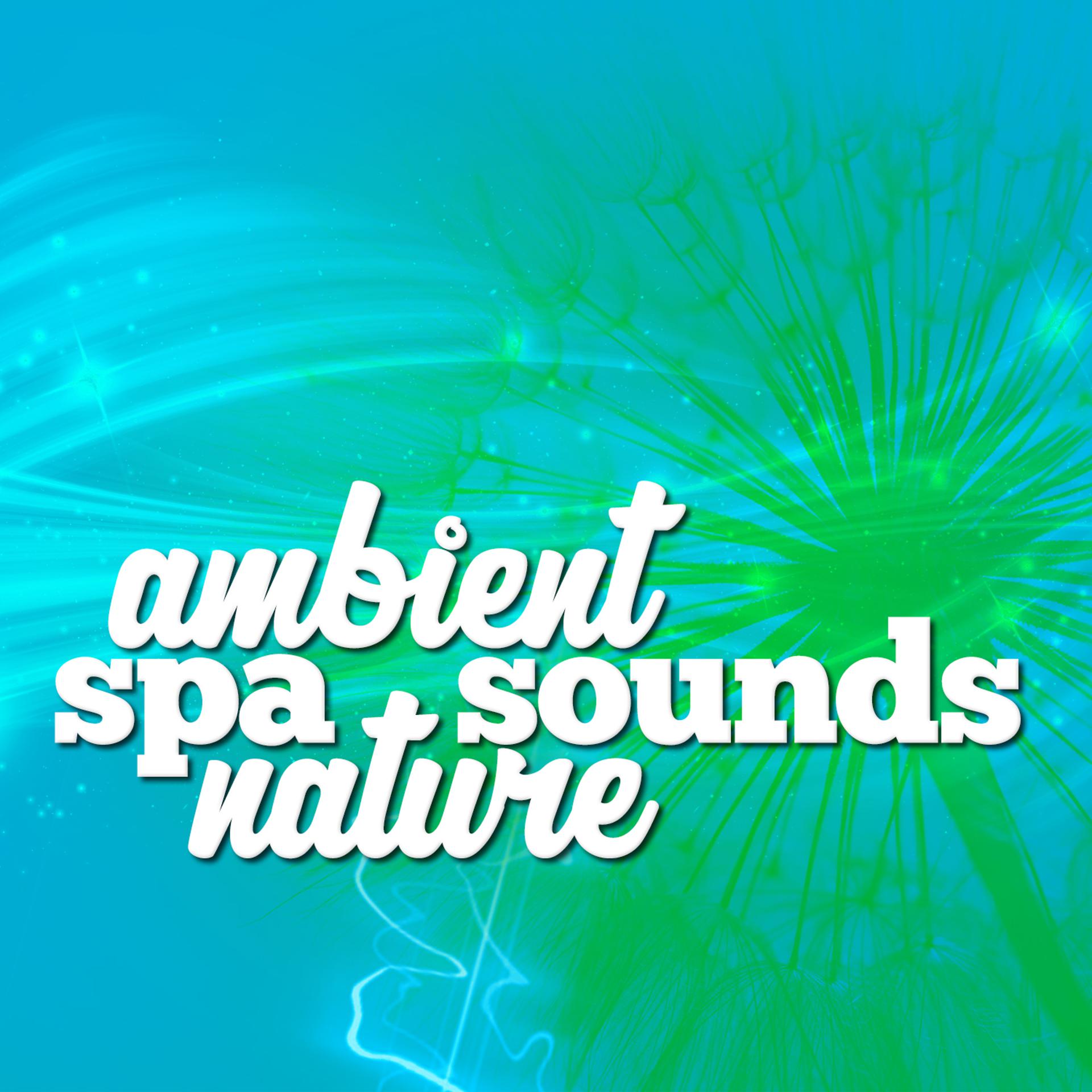 Постер альбома Ambient Spa Sounds: Nature